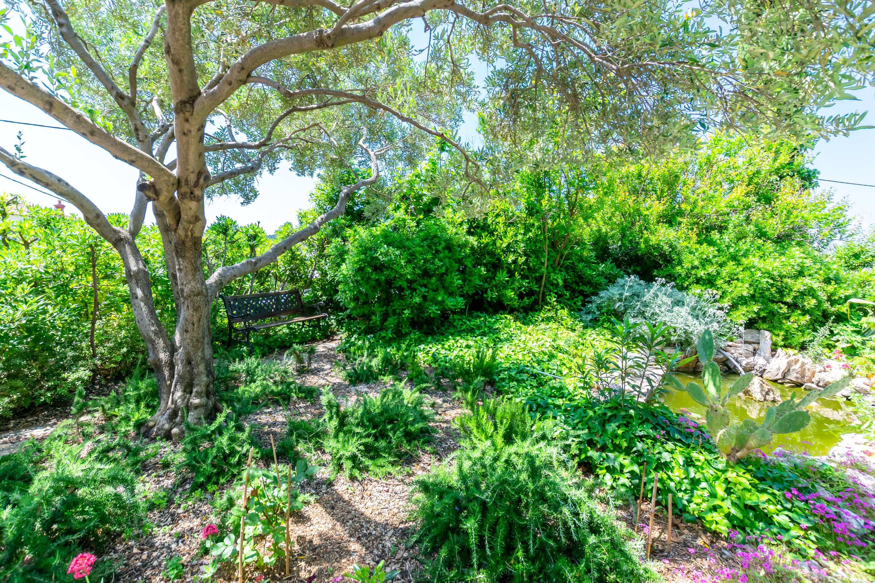 Photo of Apartments Rada i Stanislav