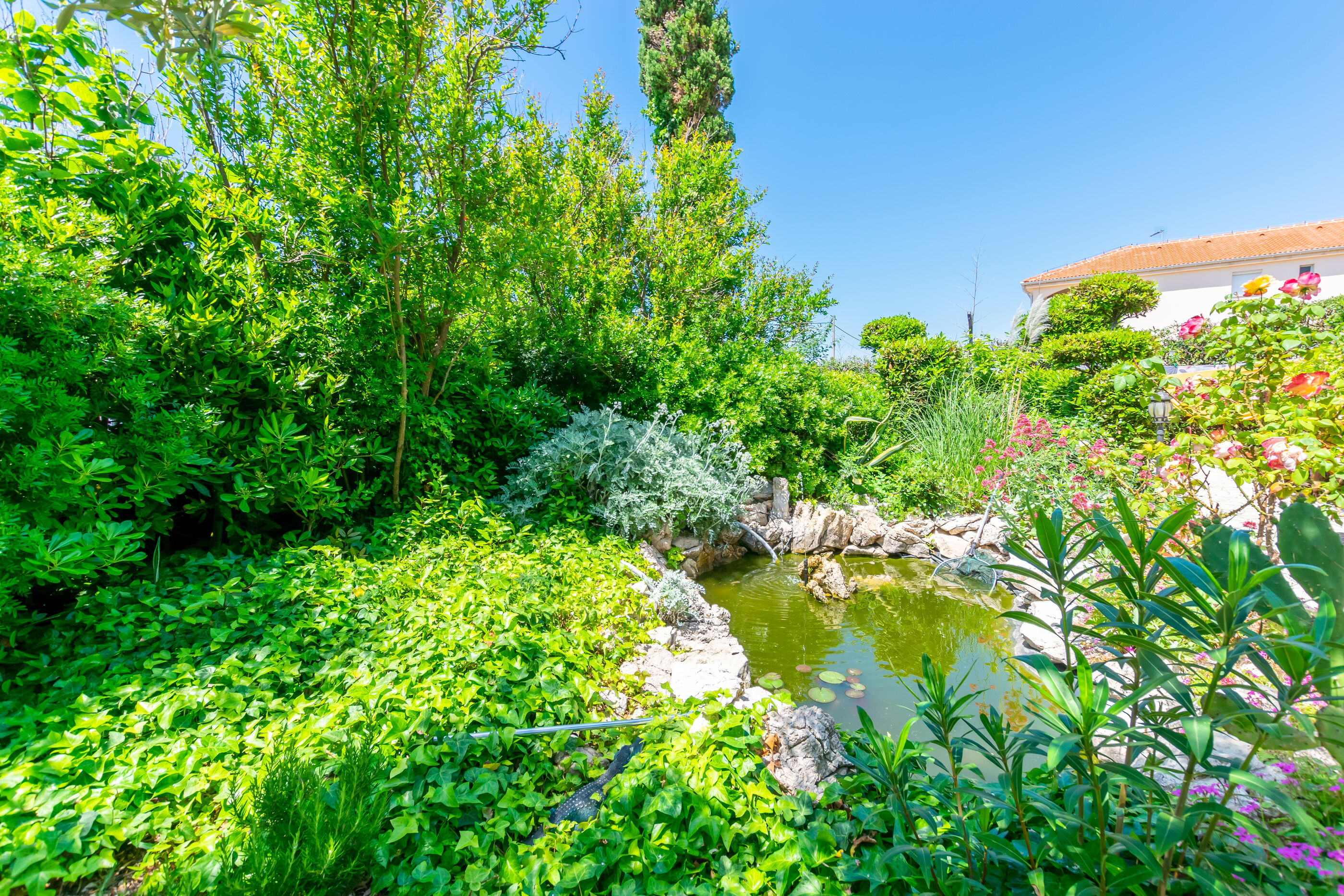 Photo of Apartments Rada i Stanislav