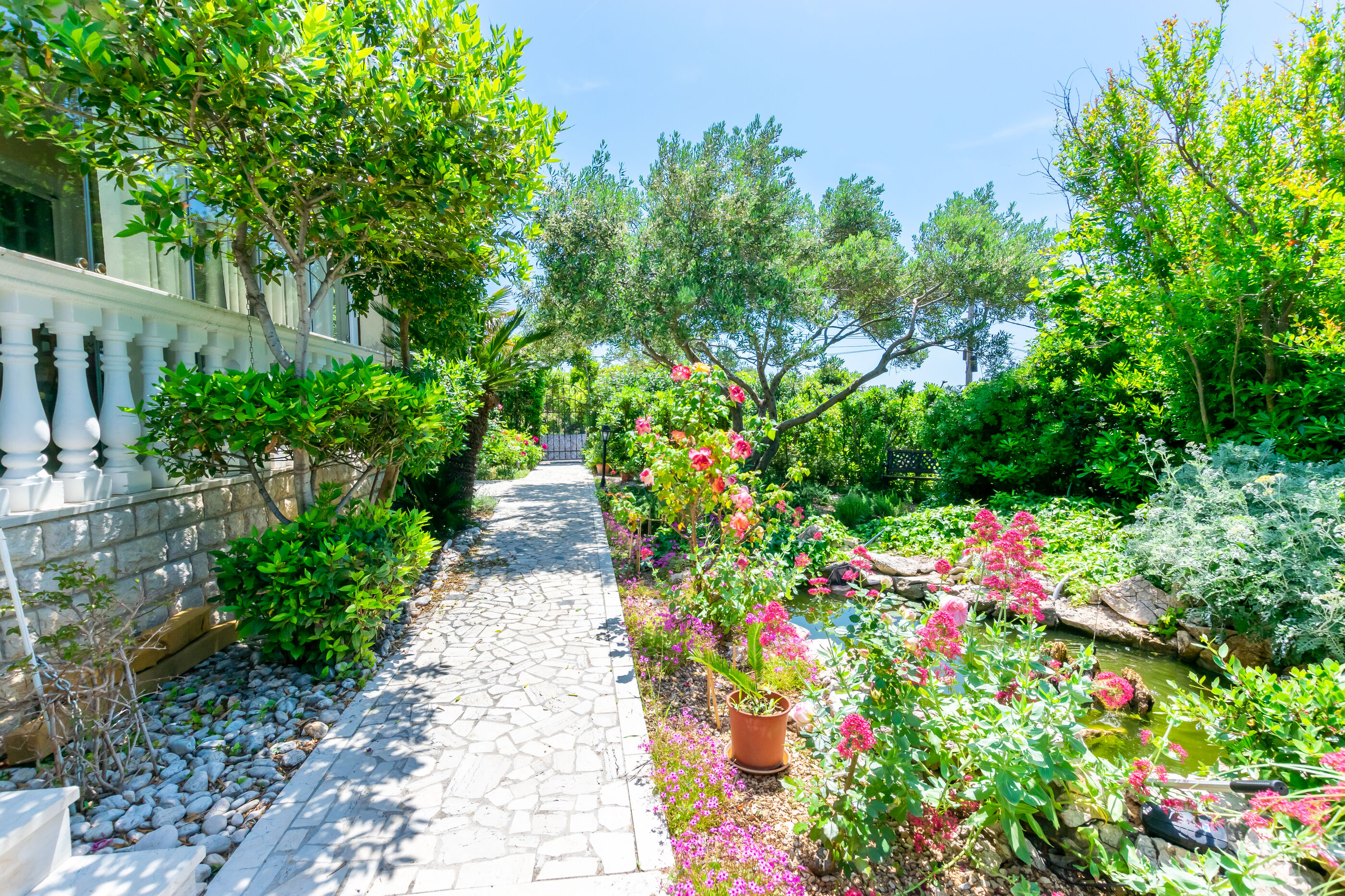 Photo of Apartments Rada i Stanislav