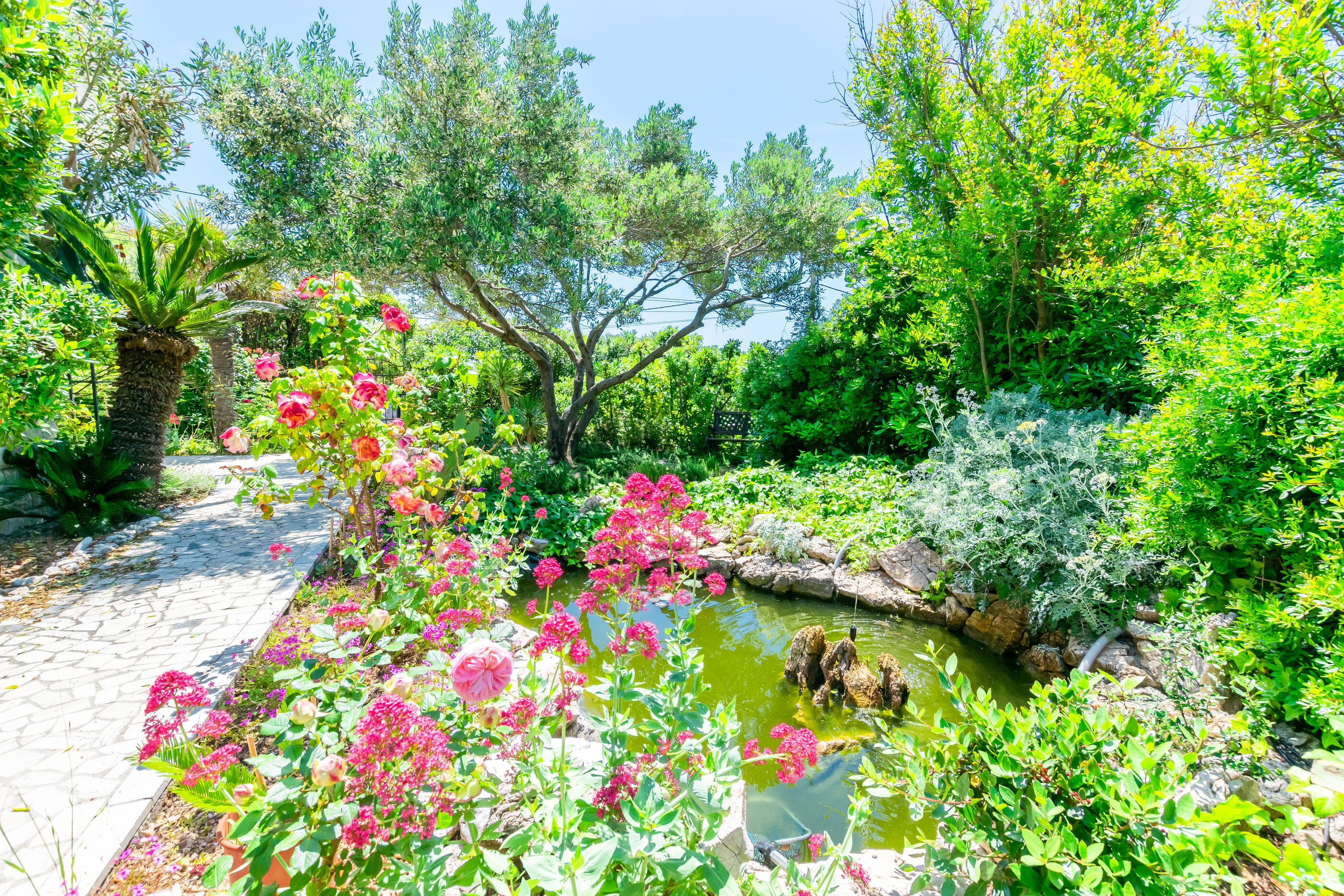 Photo of Apartments Rada i Stanislav