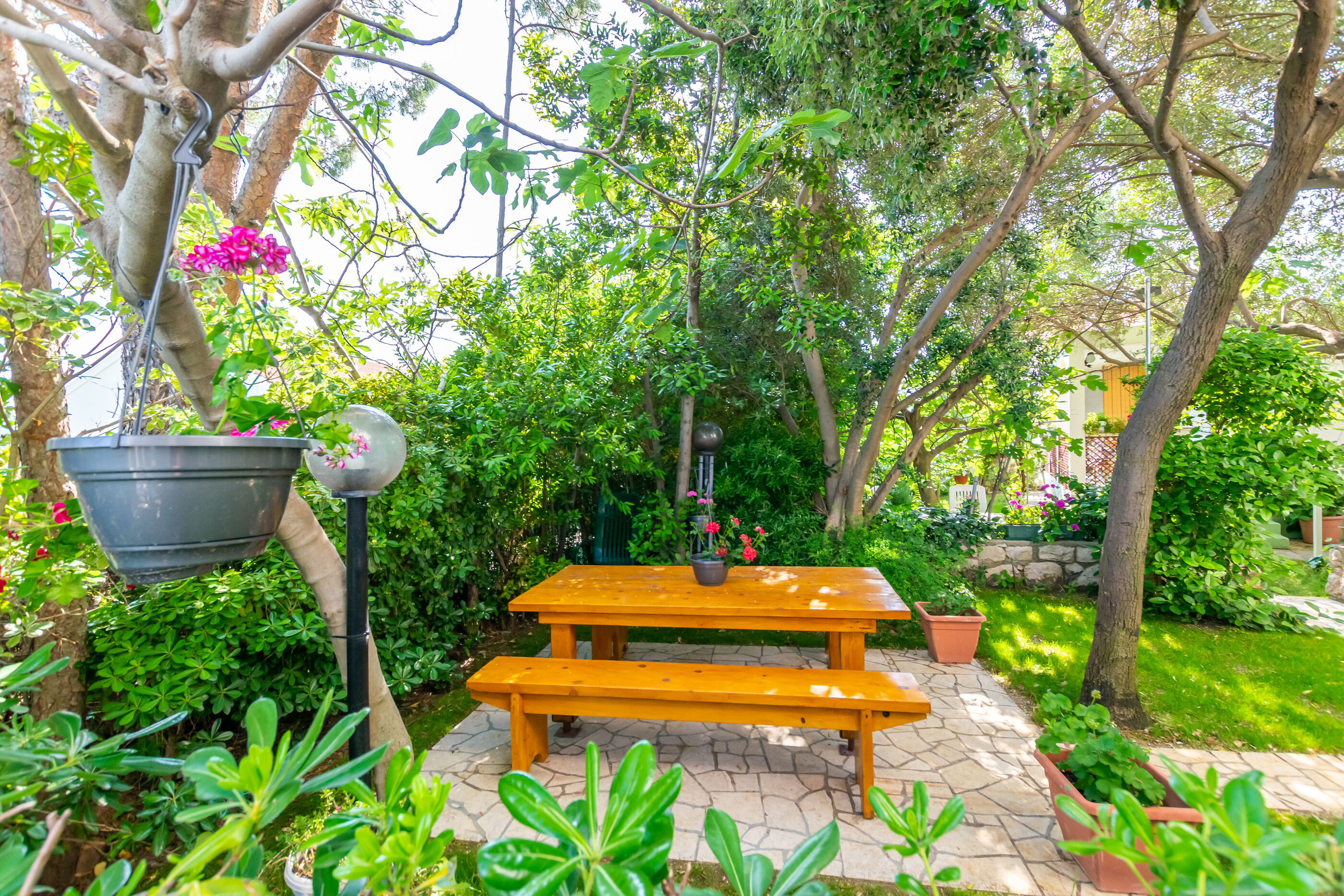 Photo of Apartments Ivan M