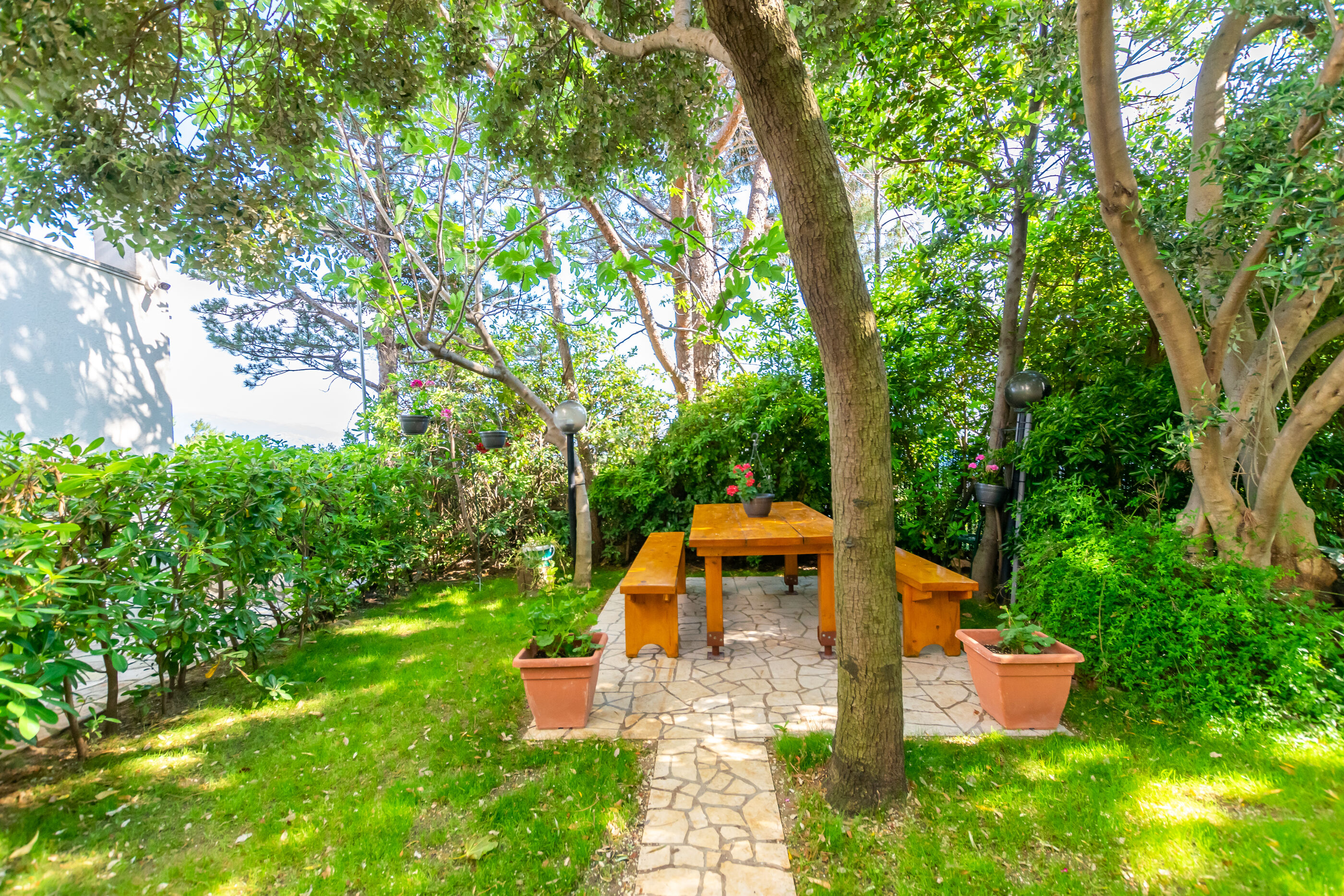 Photo of Apartments Ivan M