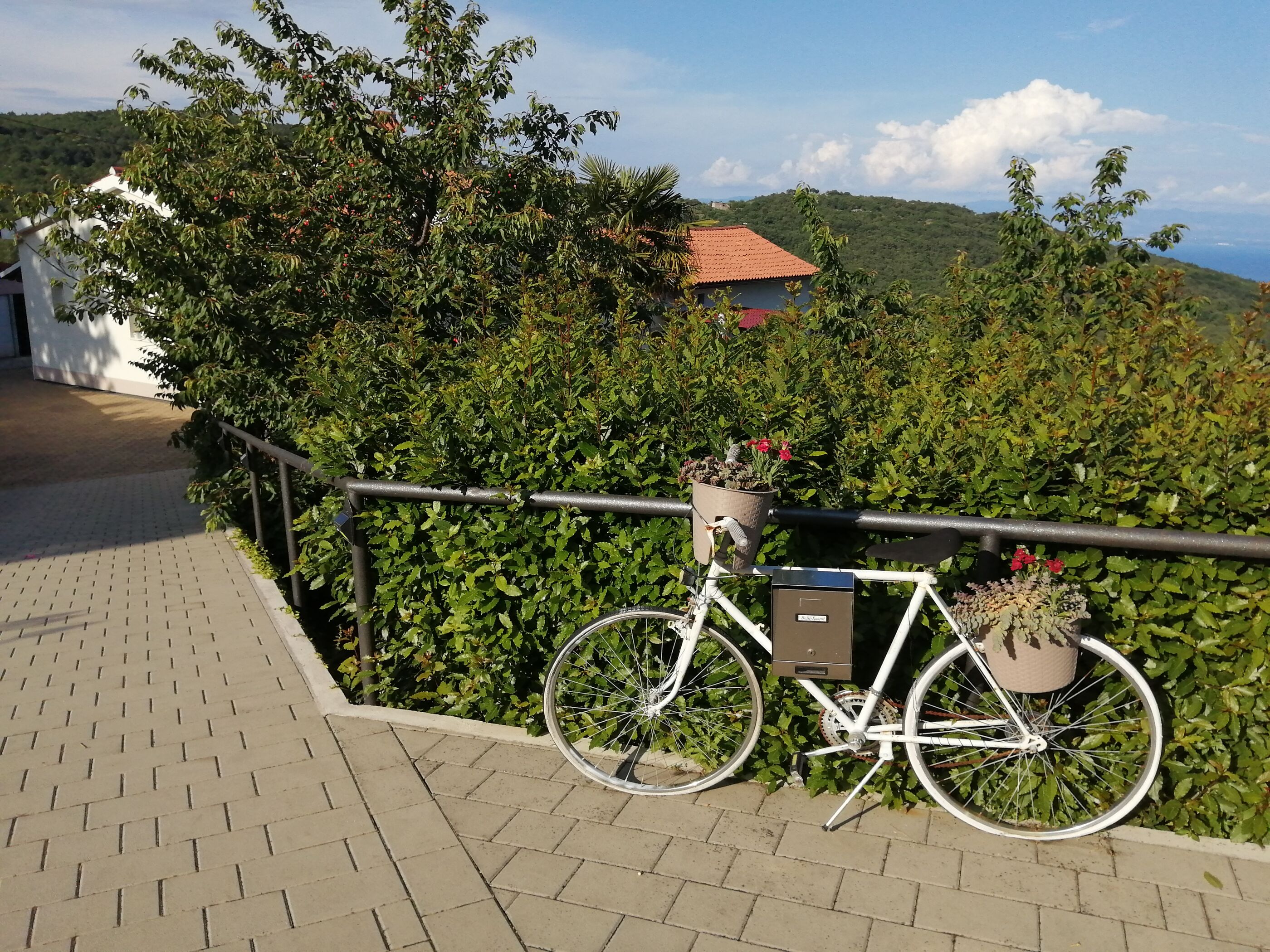 Apartment Sanja 85721-A1