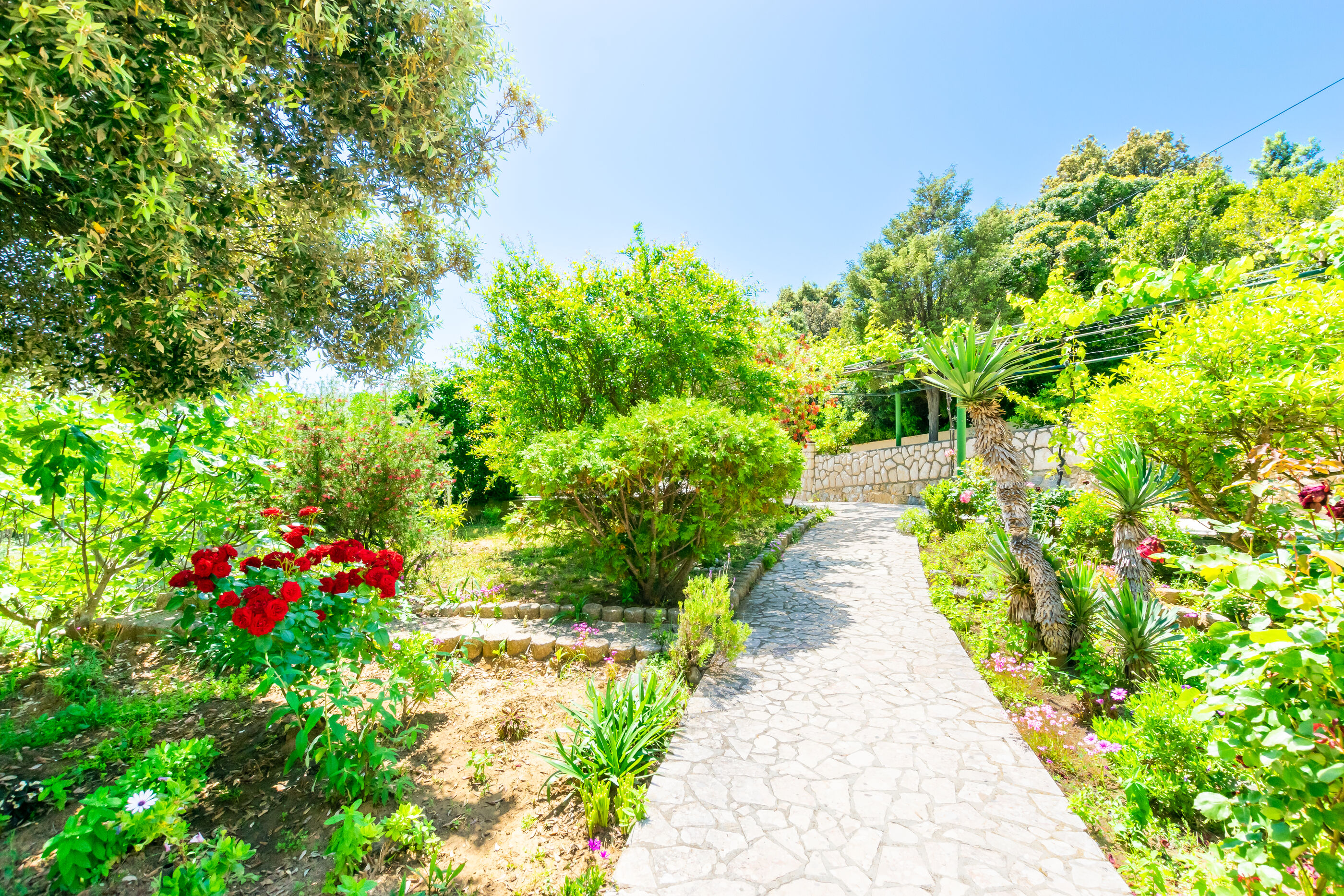 Photo of Apartments Marija Sabina