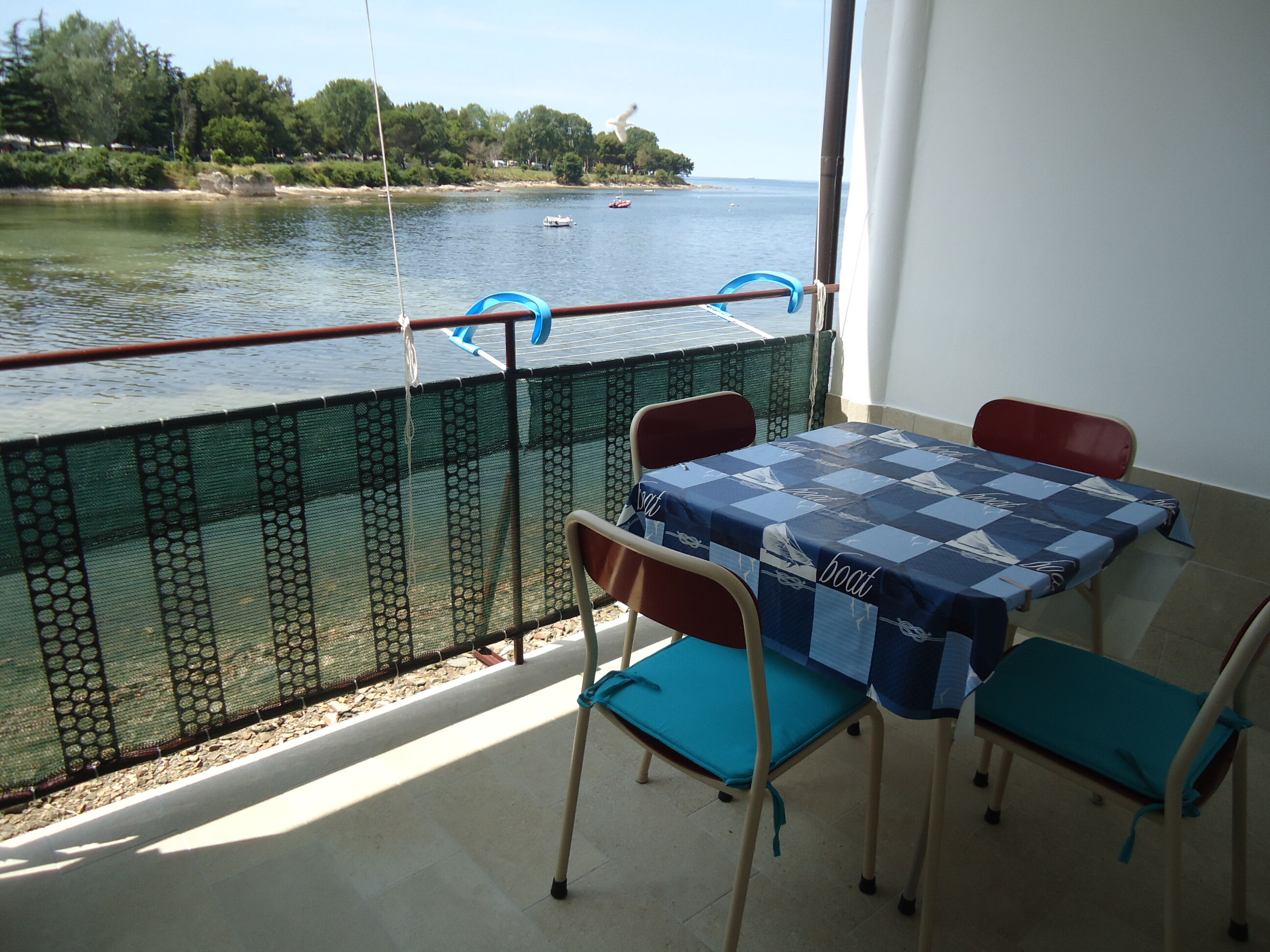 Apartment MIRELA 31954-A1