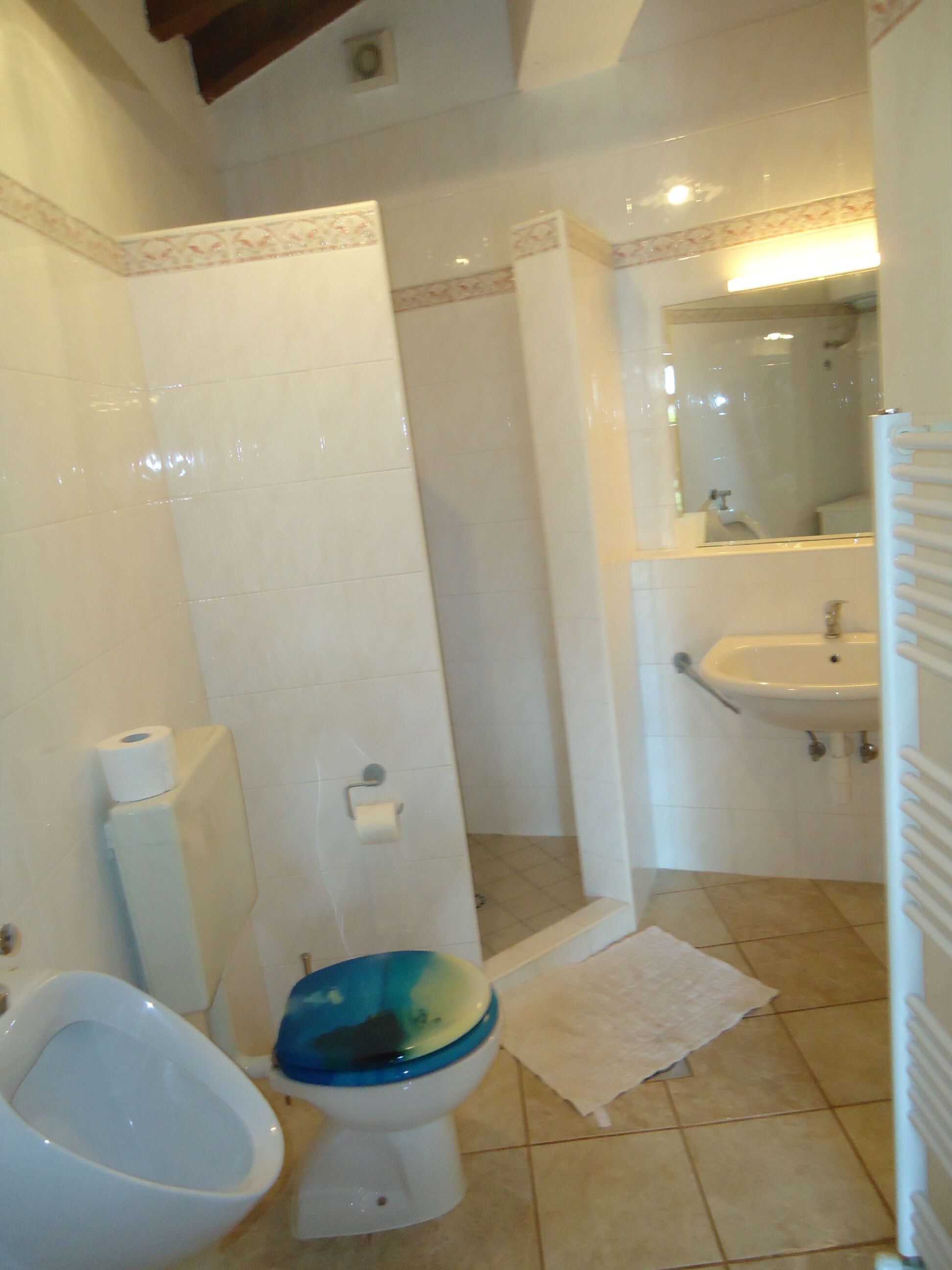 Apartments Villa Ana Monterosso 77647-K1