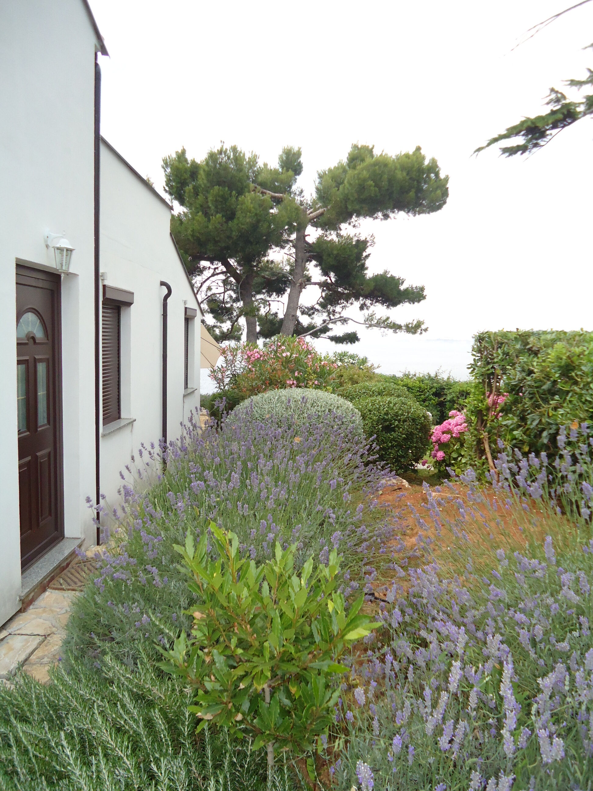 Apartments Villa Ana Monterosso 77647-K2