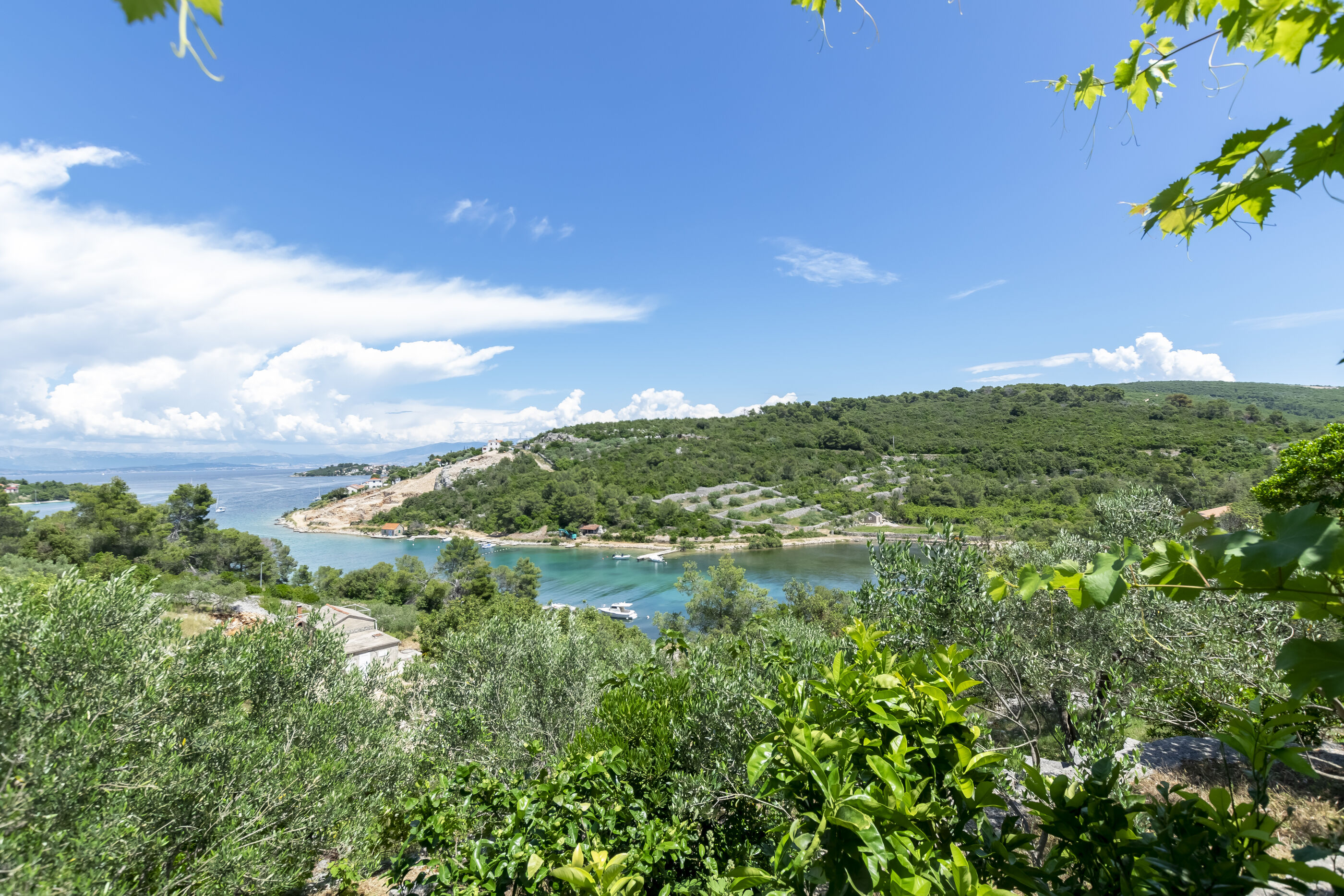 Apartment Sweet Dream Manjiga 95761-A1