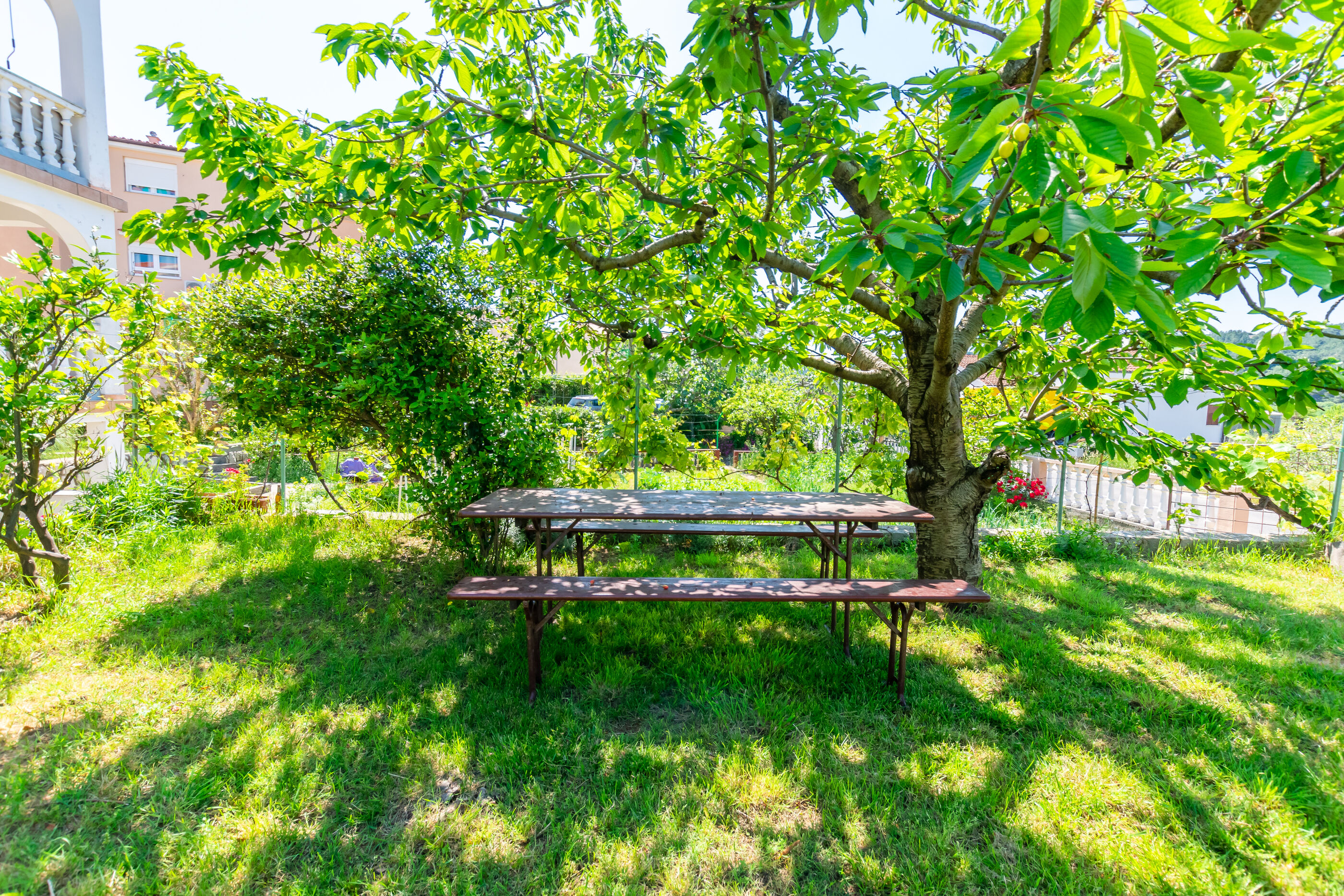 Photo of Apartments Antun M