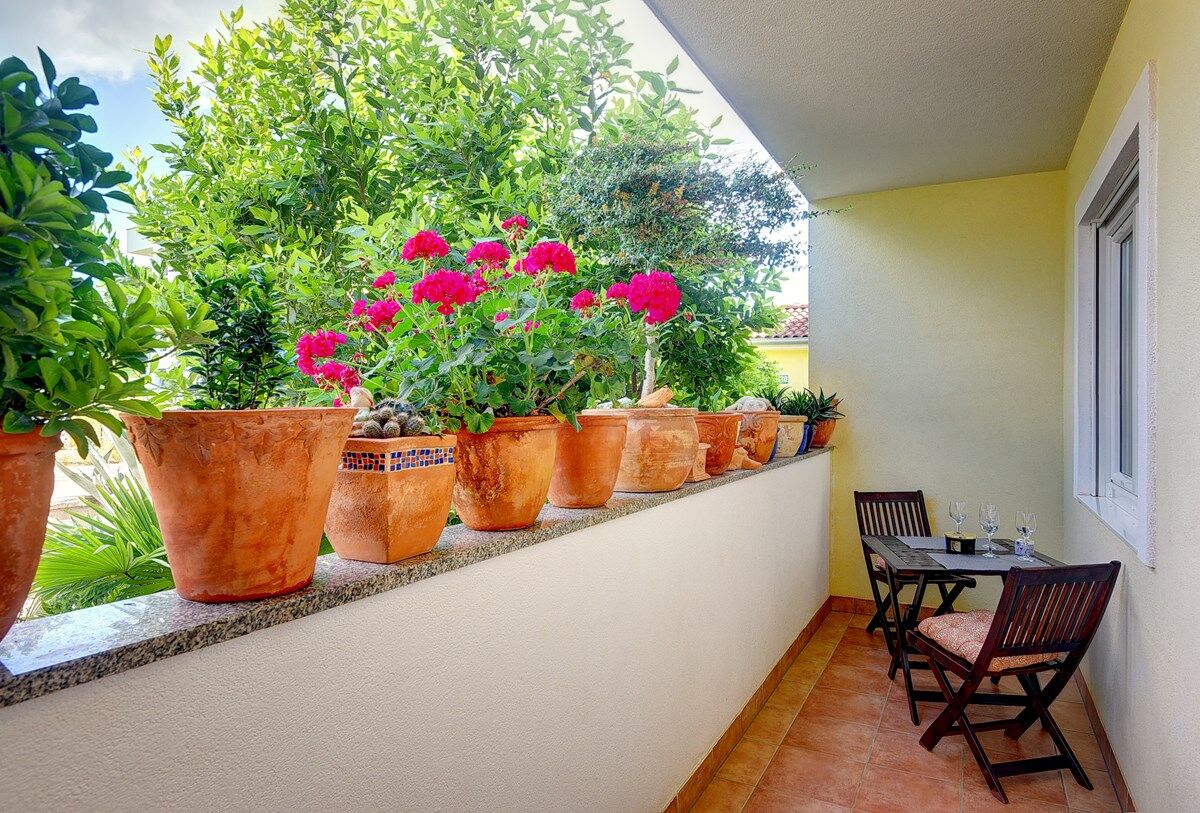 Apartment House Munida 74272-A1
