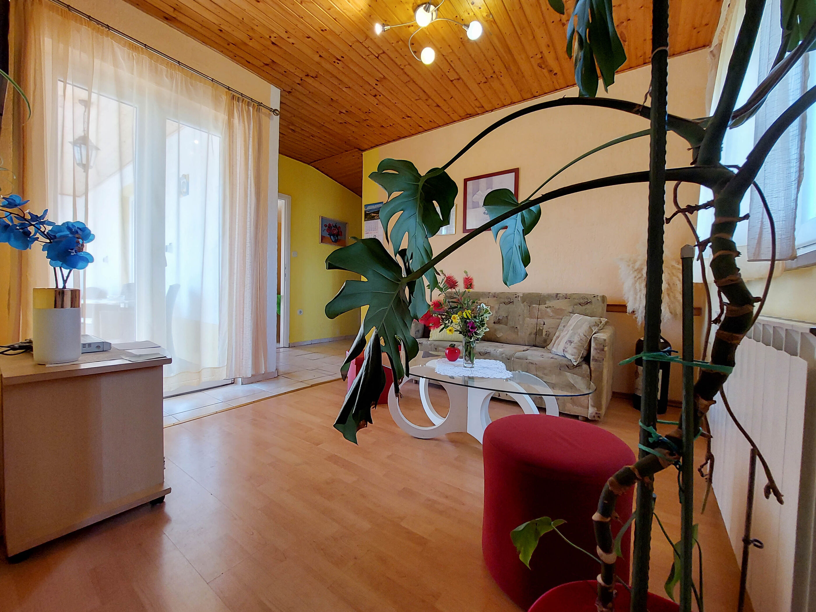 Apartments Marica 68491-A2