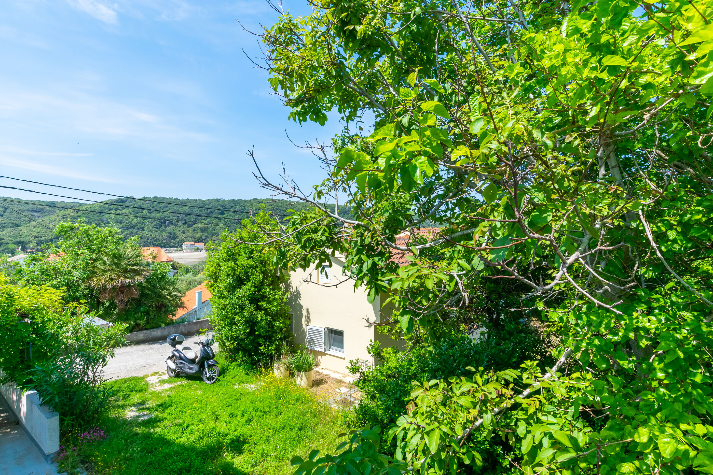 House Zeljko 94671-K1