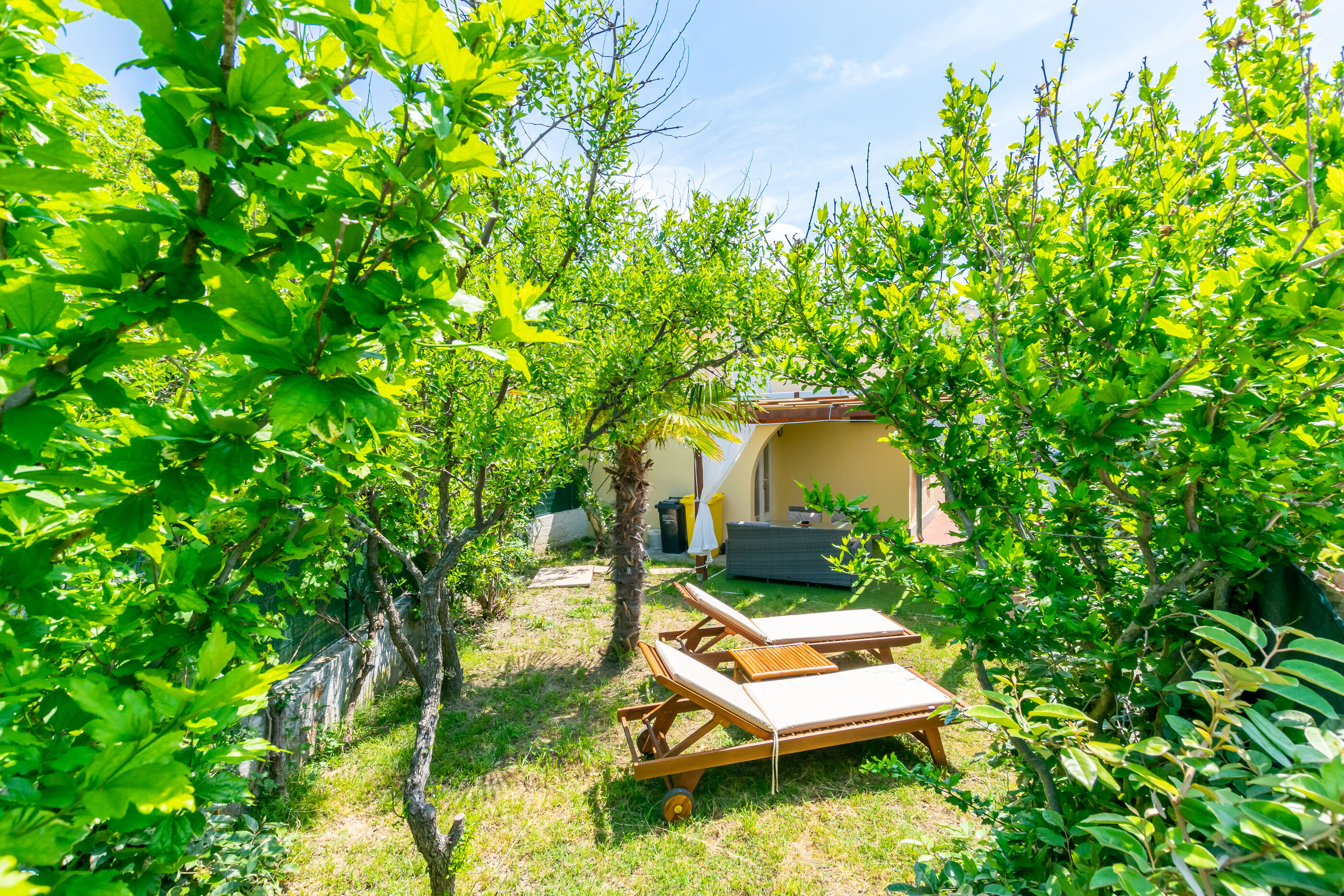 Photo of House Zeljko