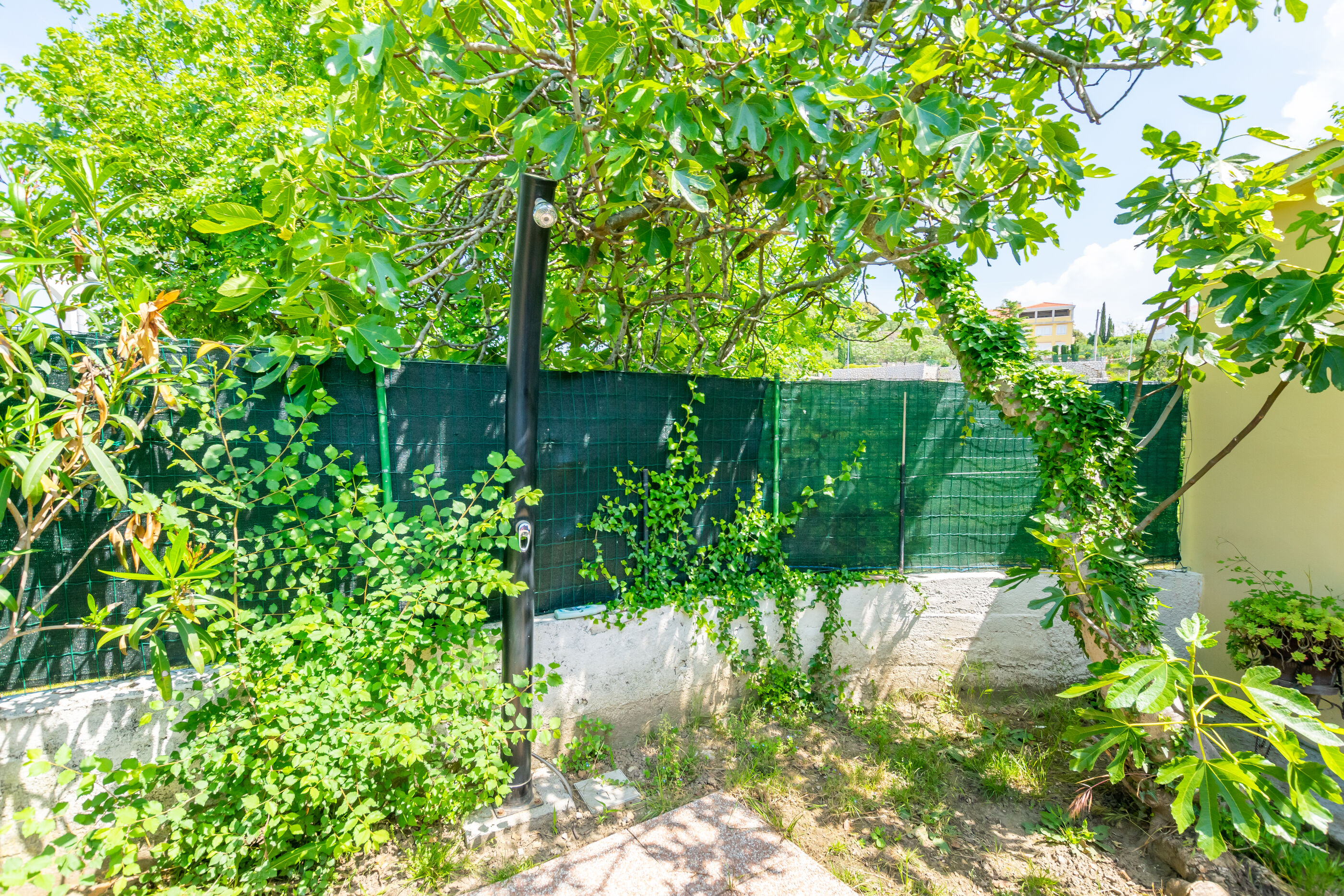 Photo of House Zeljko