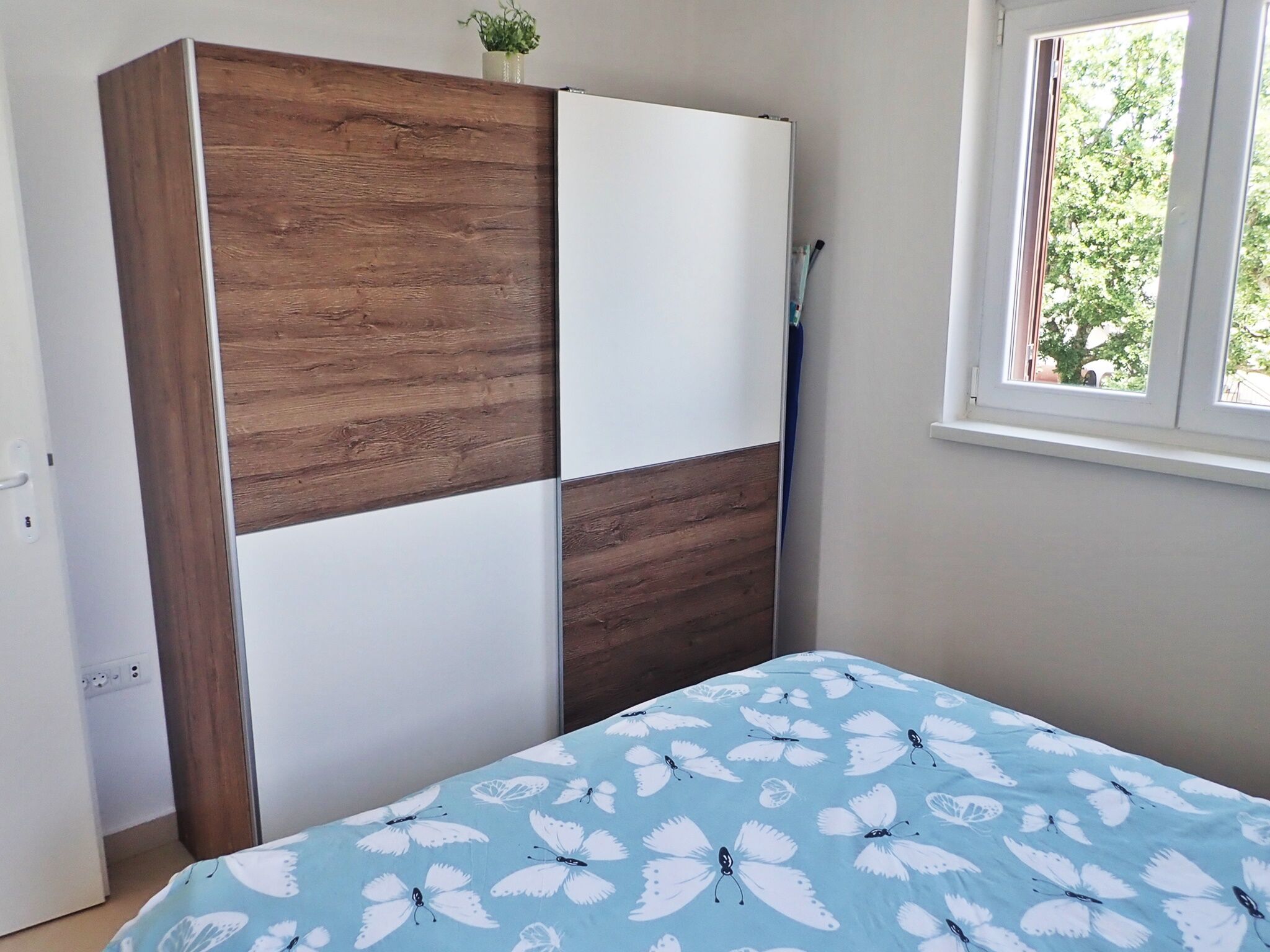Apartment PLAVA LAGUNA-by the sea 96331-A1