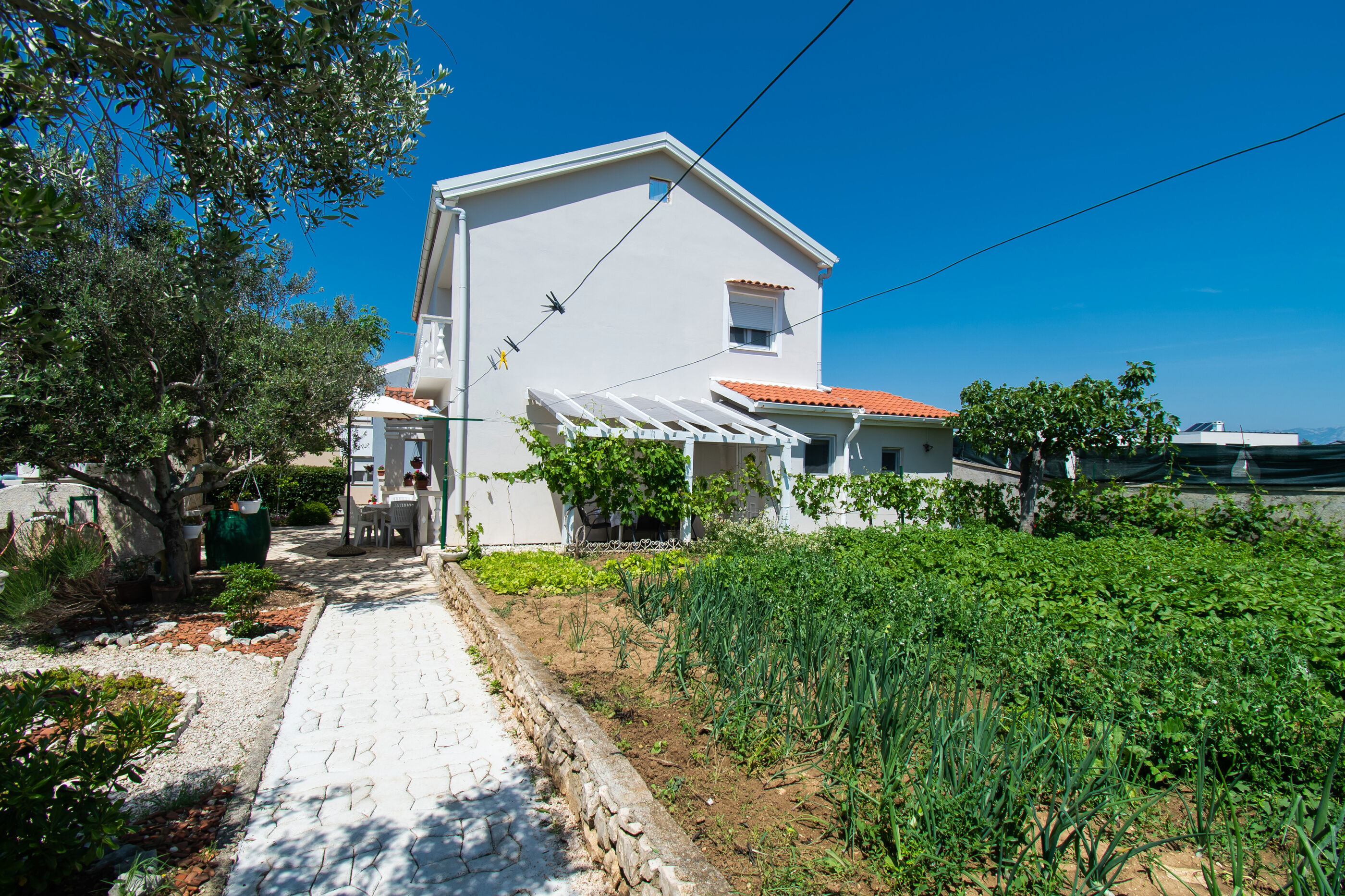 Apartment Ivan Vrsi 54731-A1