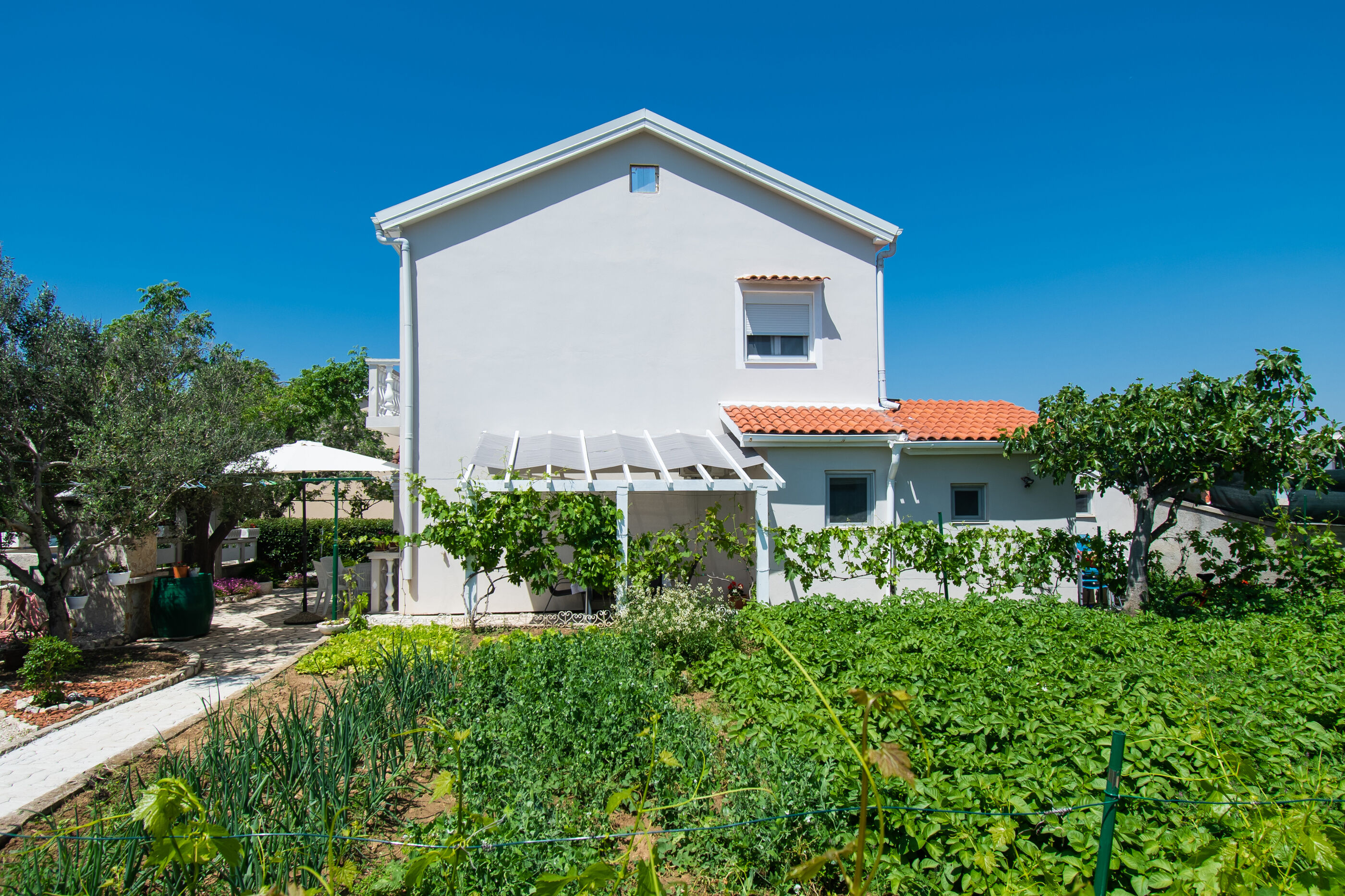 Apartment Ivan Vrsi 54731-A1