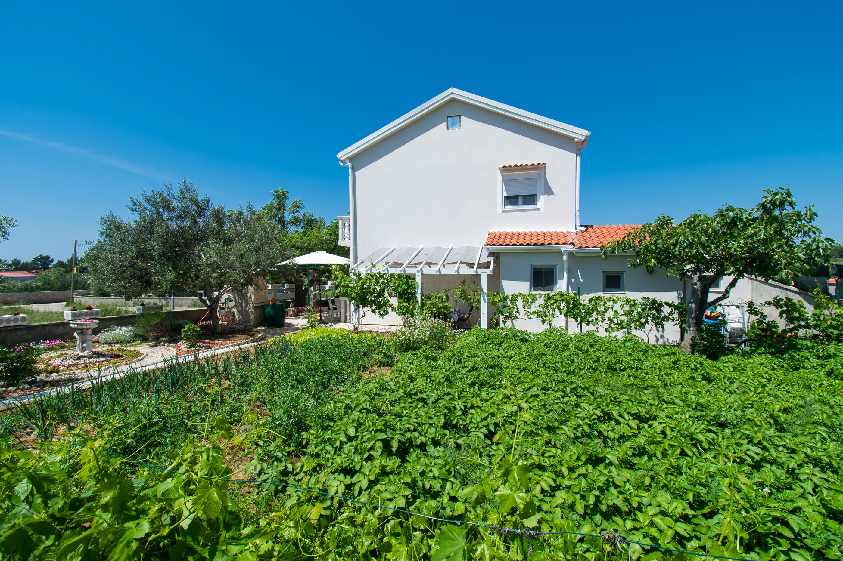 Apartment Ivan Vrsi 54731-A1