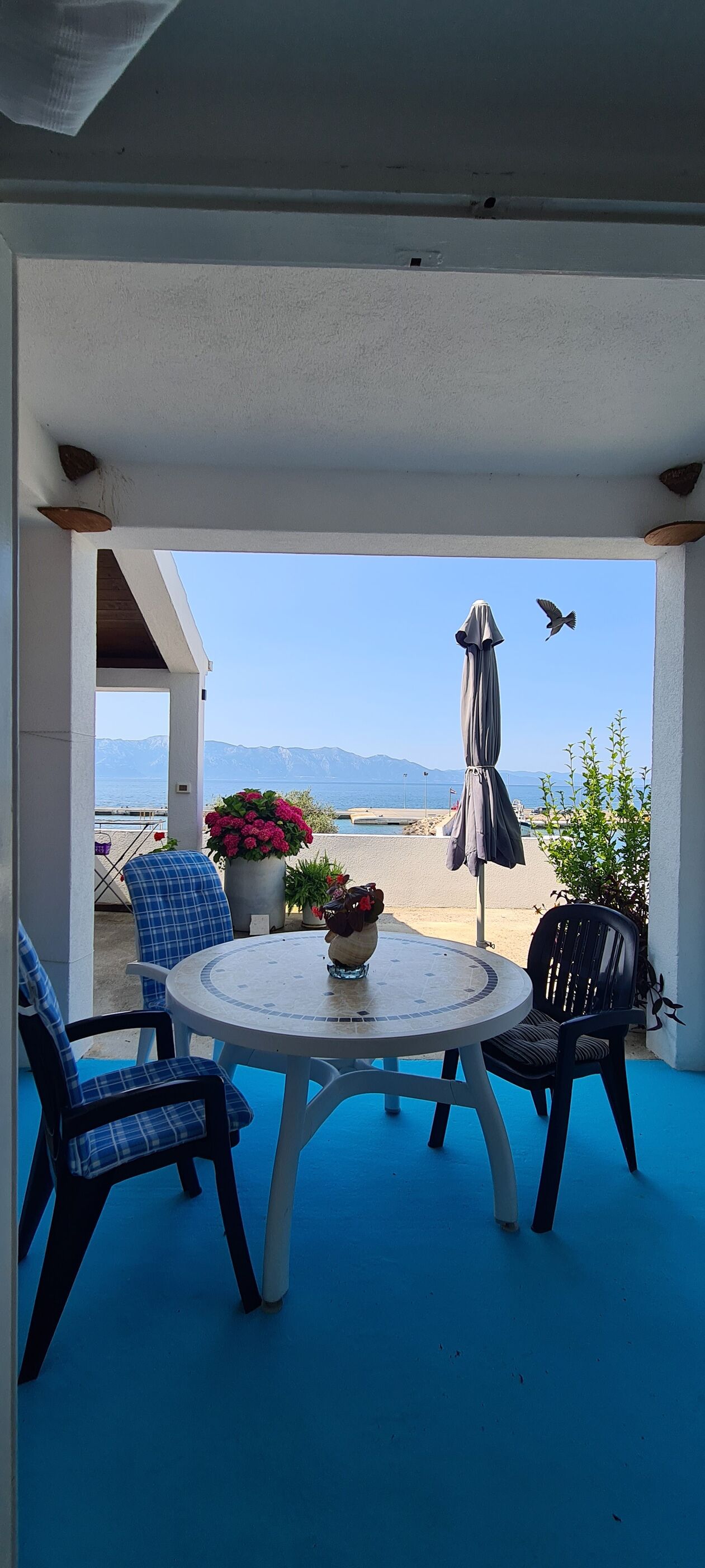 Apartments Lanterna 96351-A1