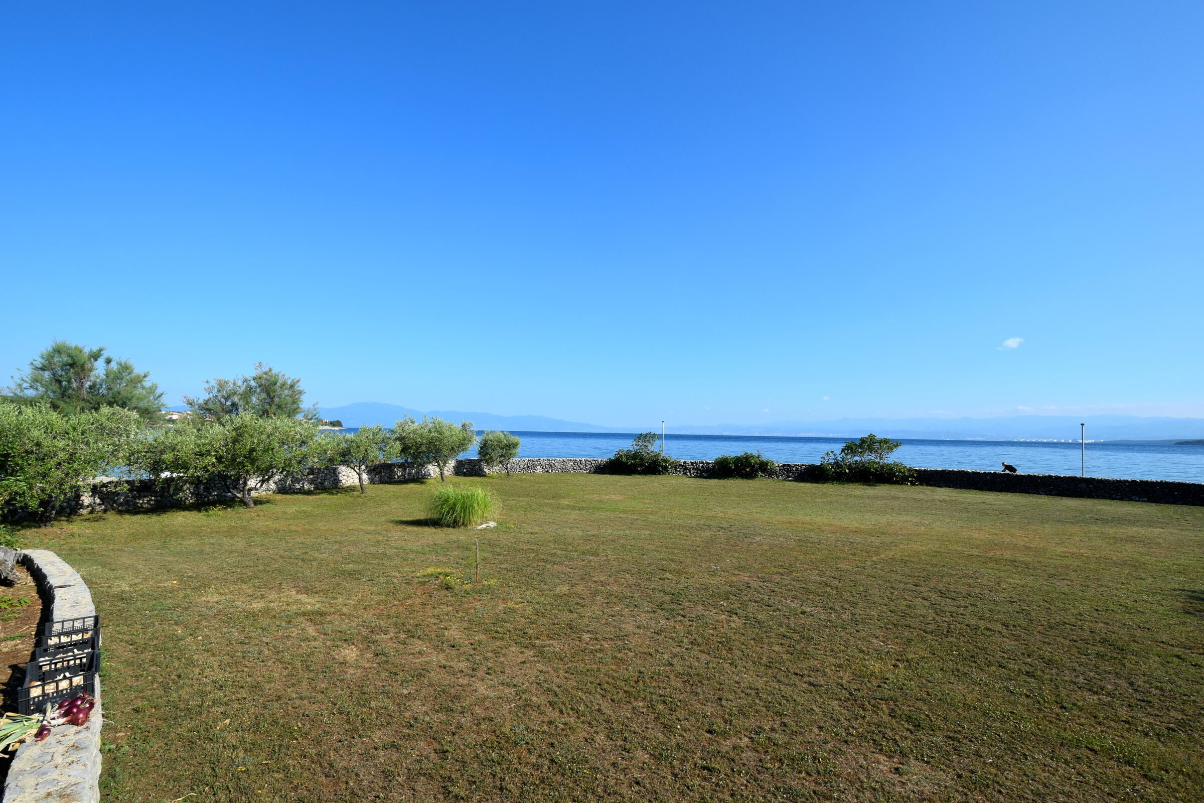 Apartments Rtic 62251-A1