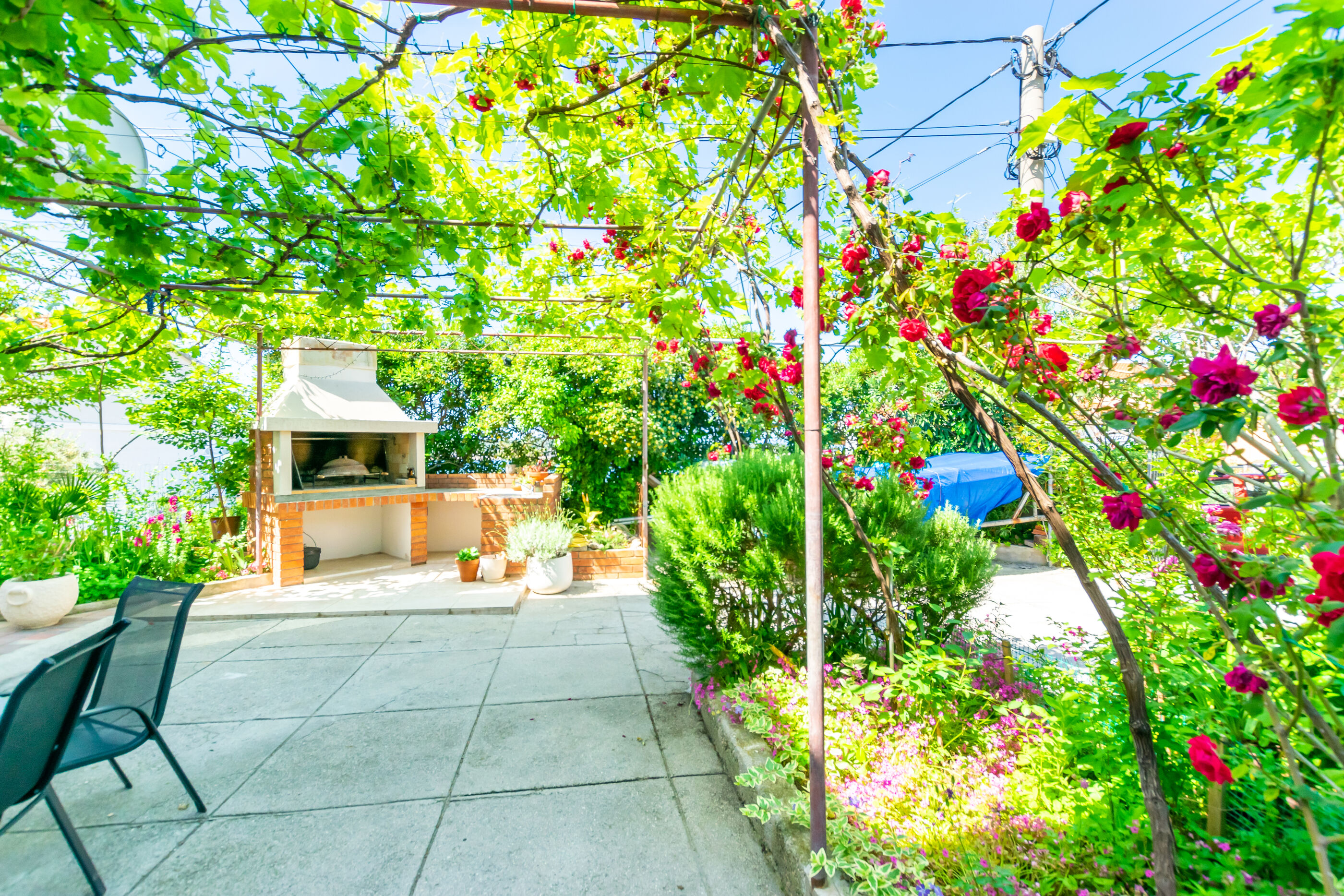 Apartments Mrijana D 91901-A1