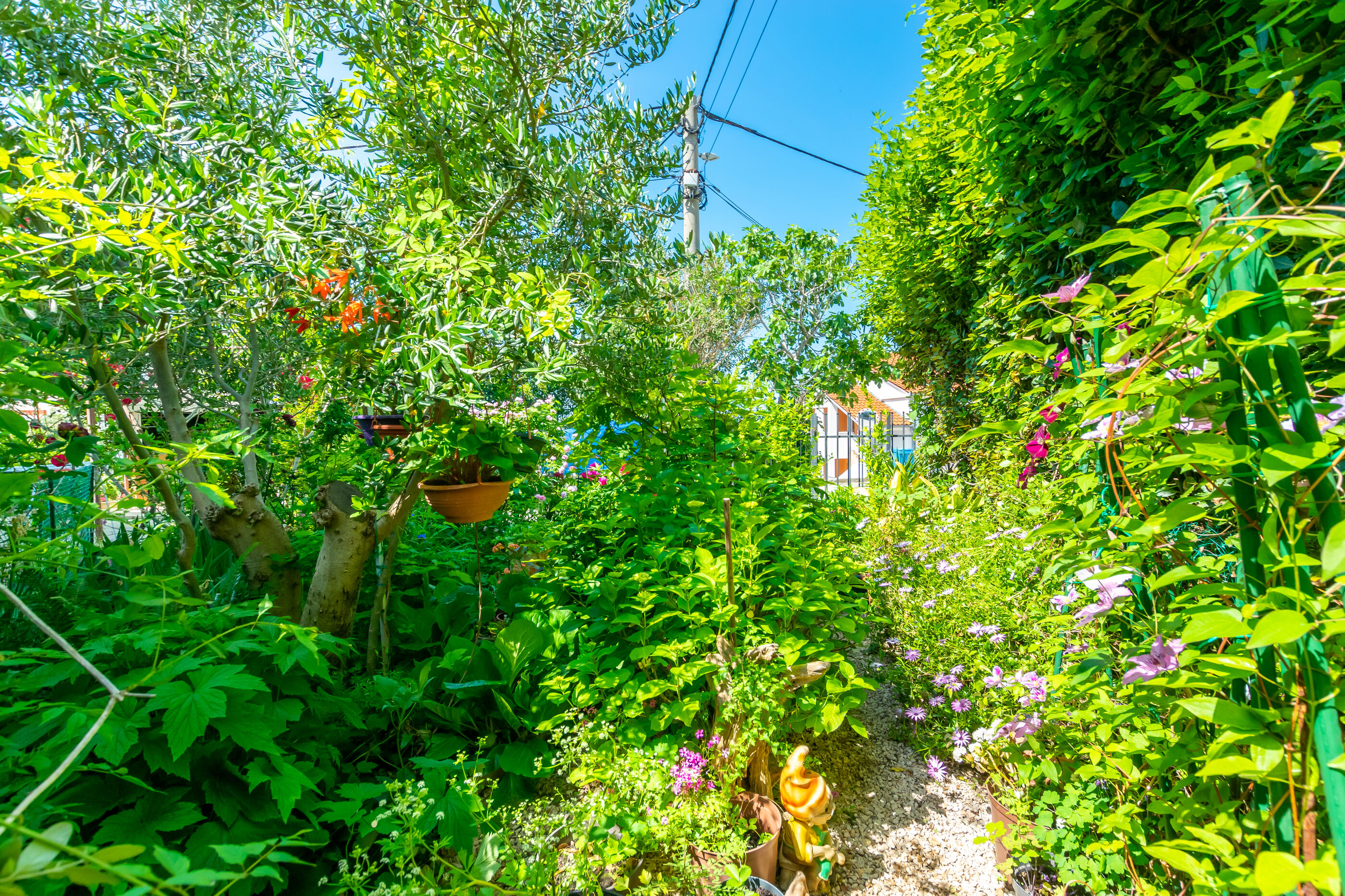 Photo of Apartments Mrijana D