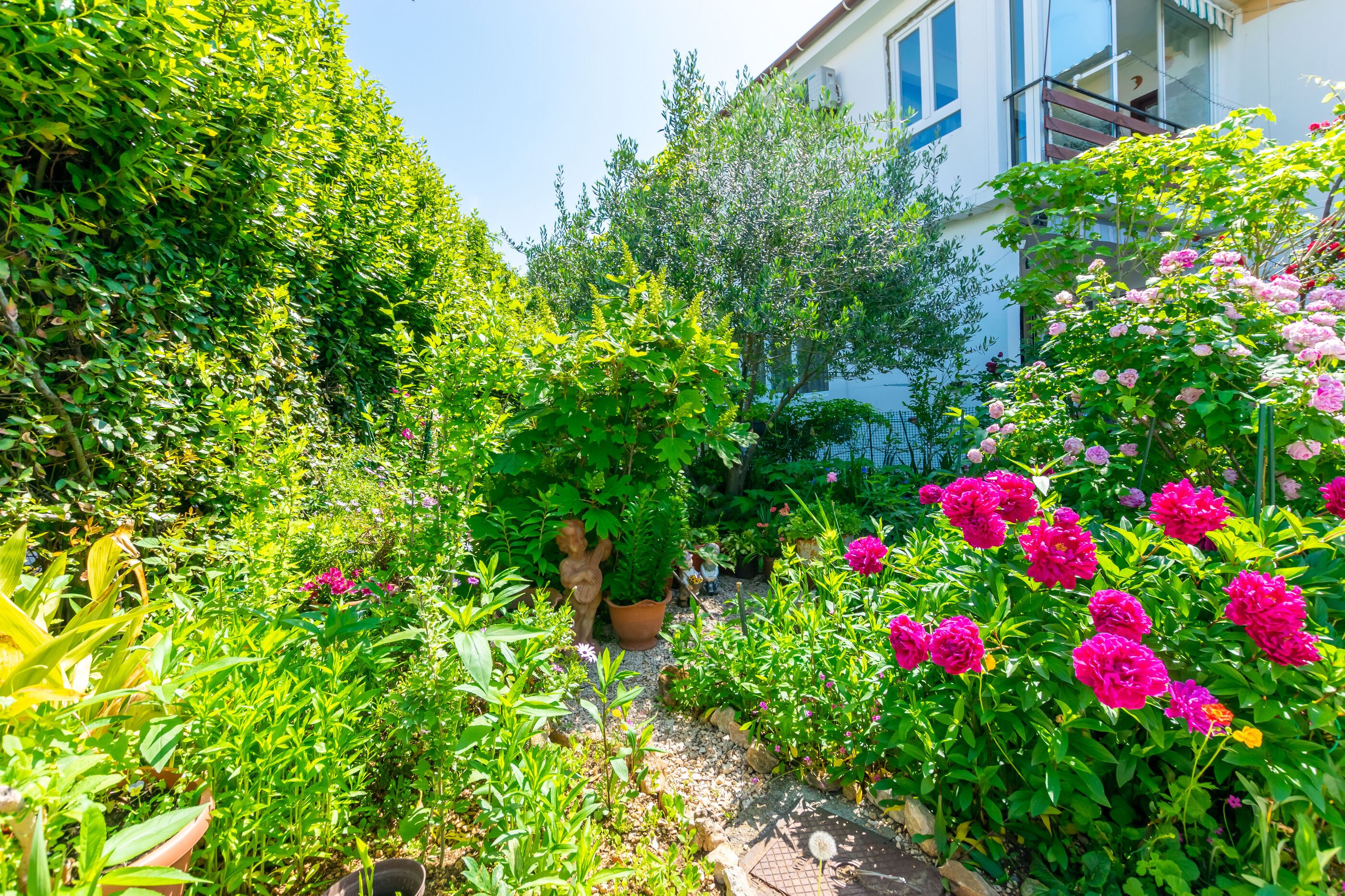 Photo of Apartments Mrijana D