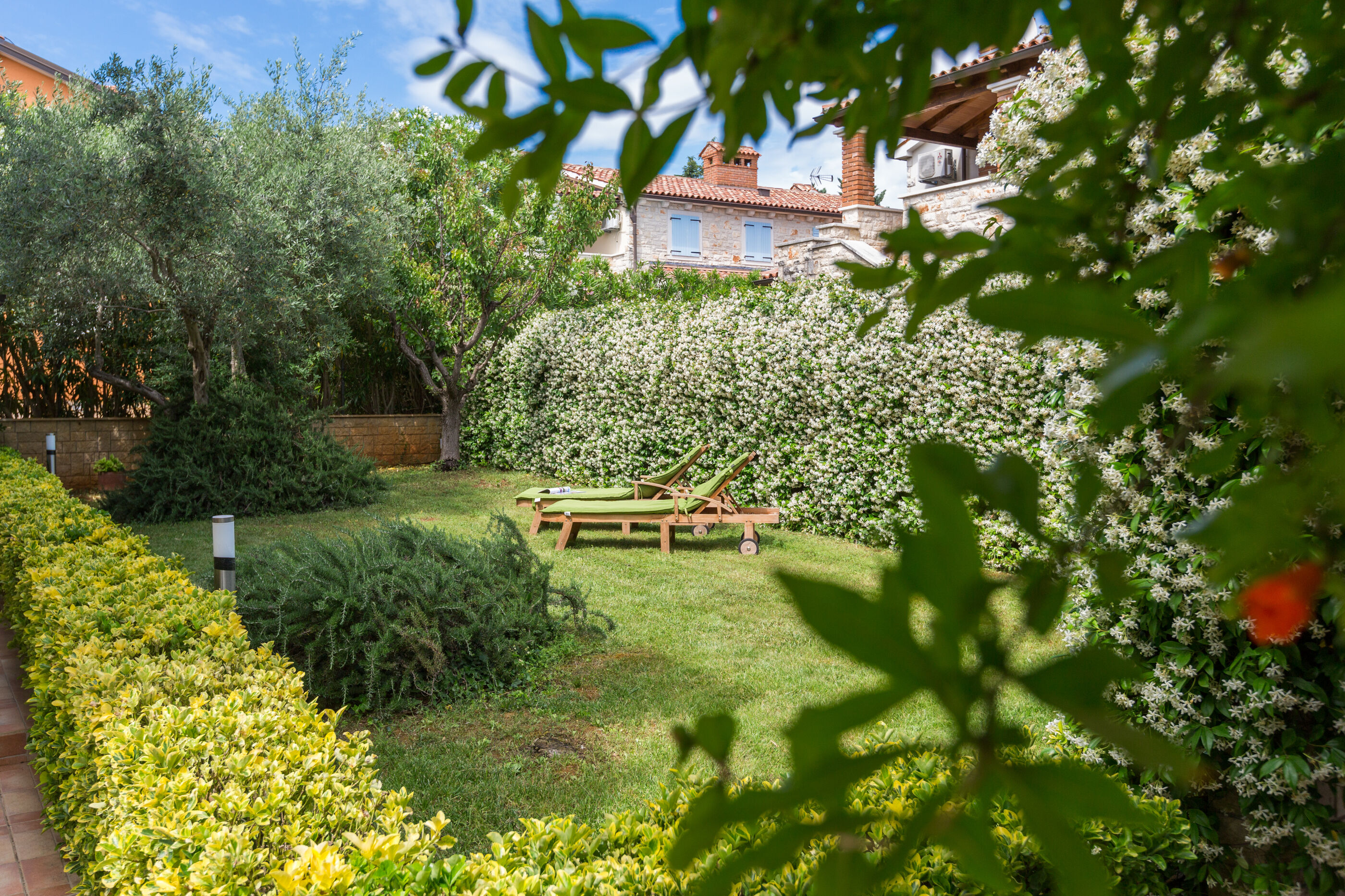 House Green Marea 84881-K1