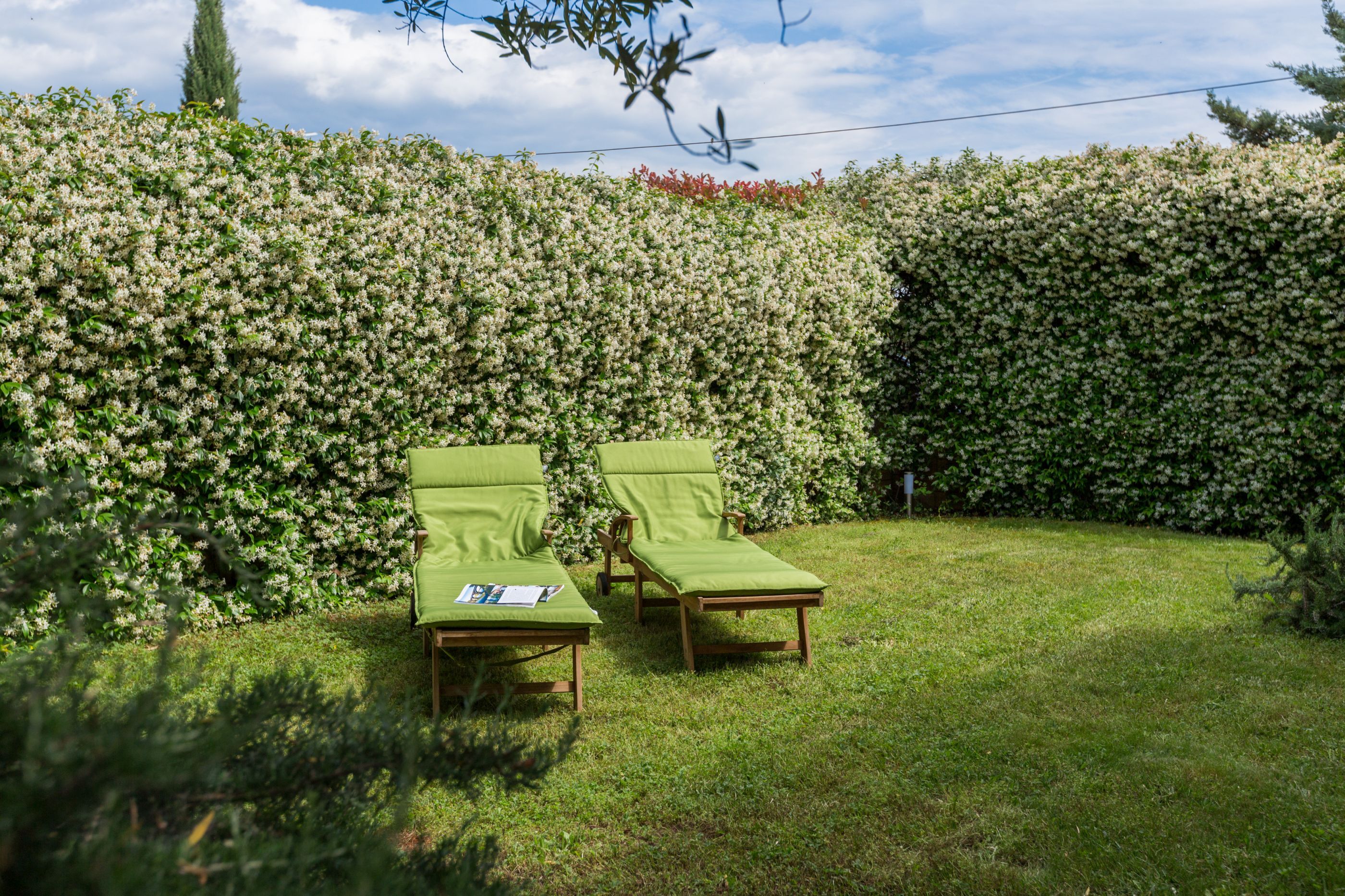 House Green Marea 84881-K1