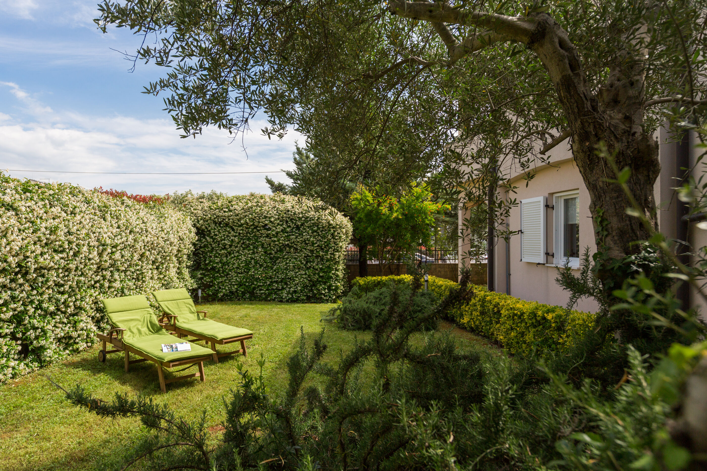 House Green Marea 84881-K1