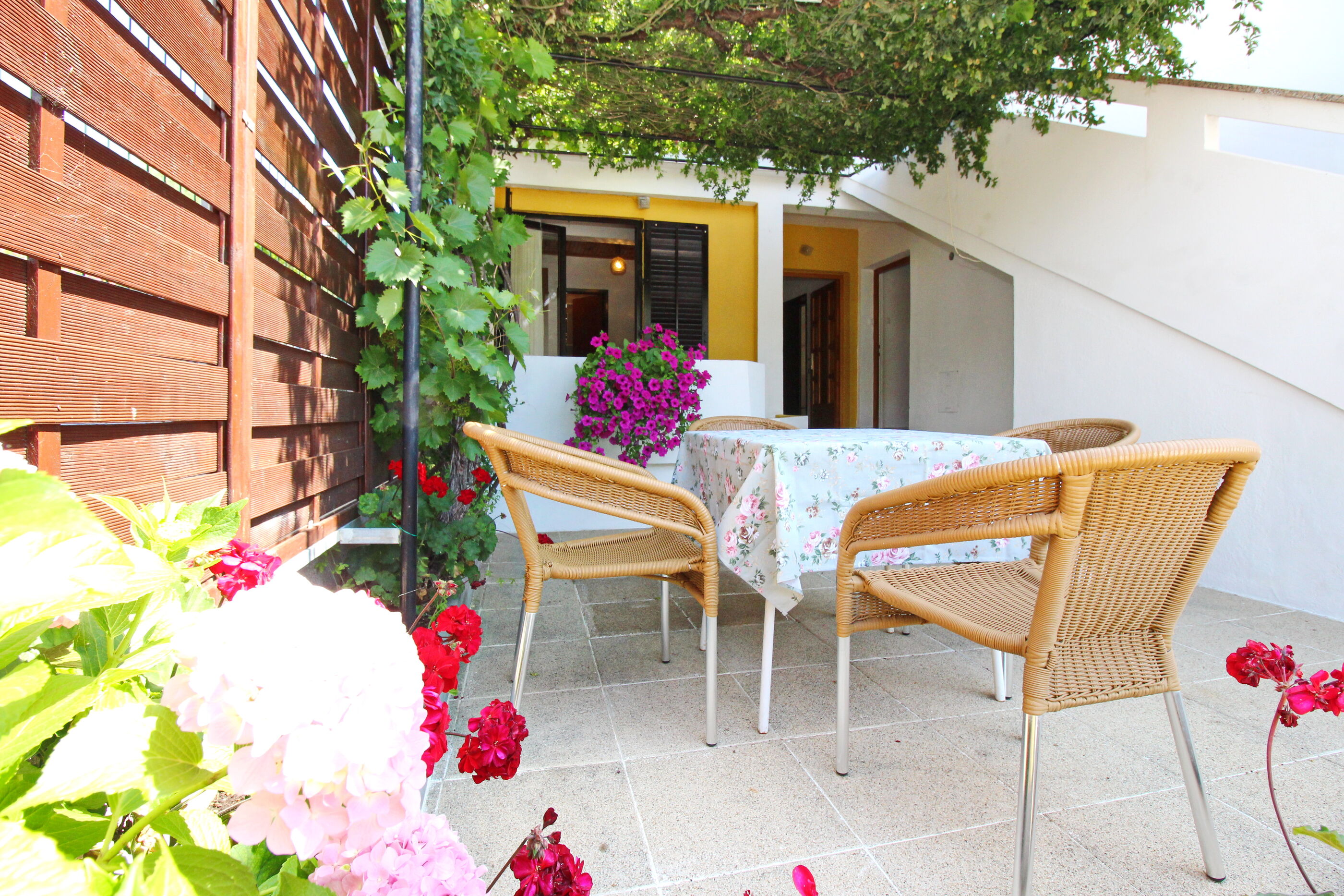 Apartments Capic Pescivica 69013-A3