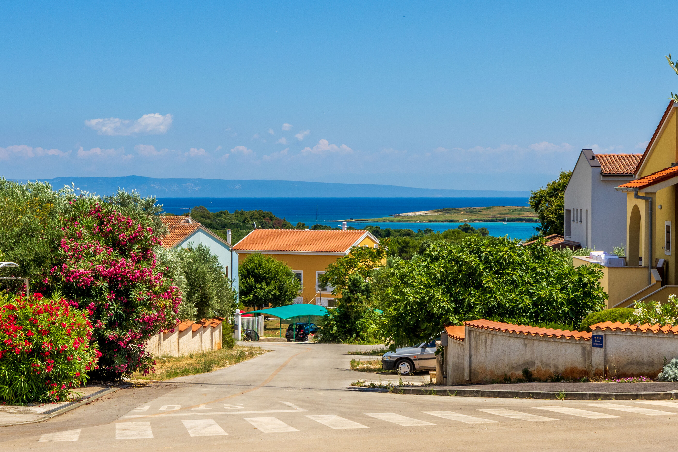 Photo of Apartment David