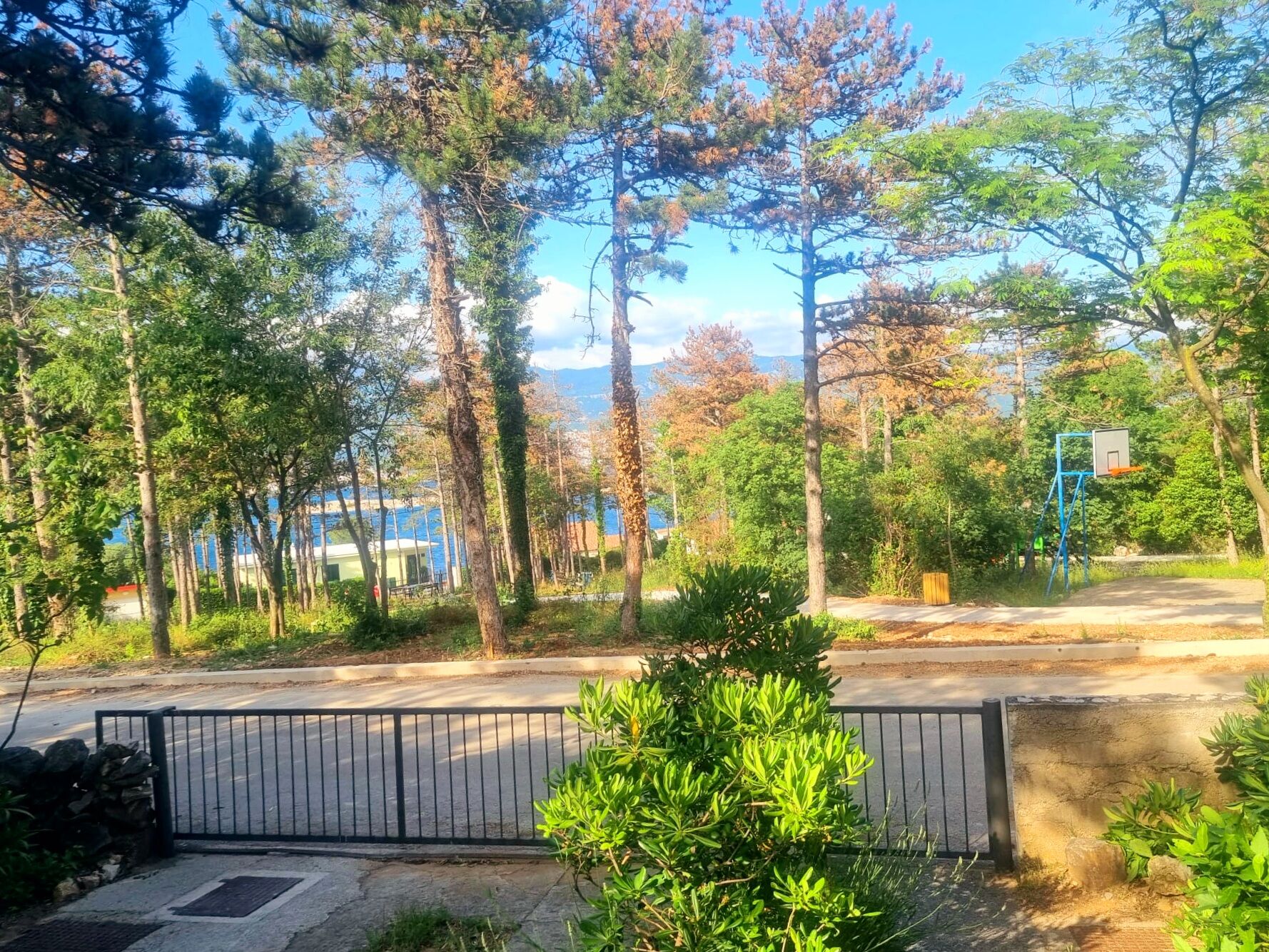Apartment Park 93978-A1