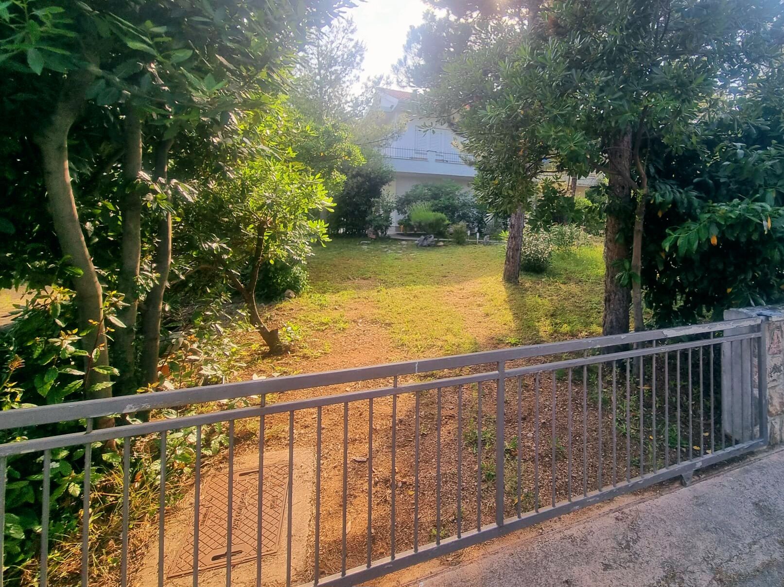 Apartment Park 93978-A1