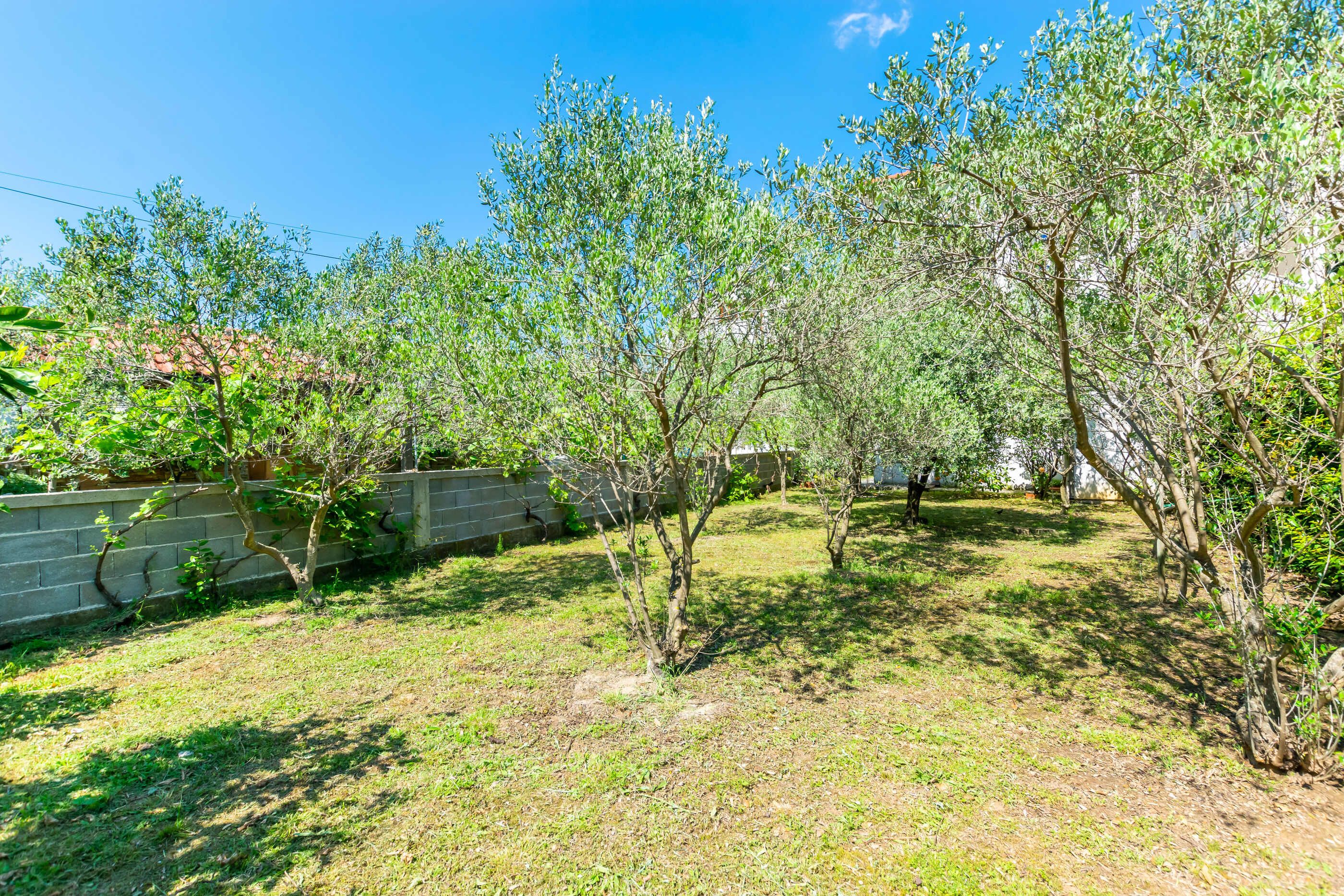 Apartments Iva 89921-A1