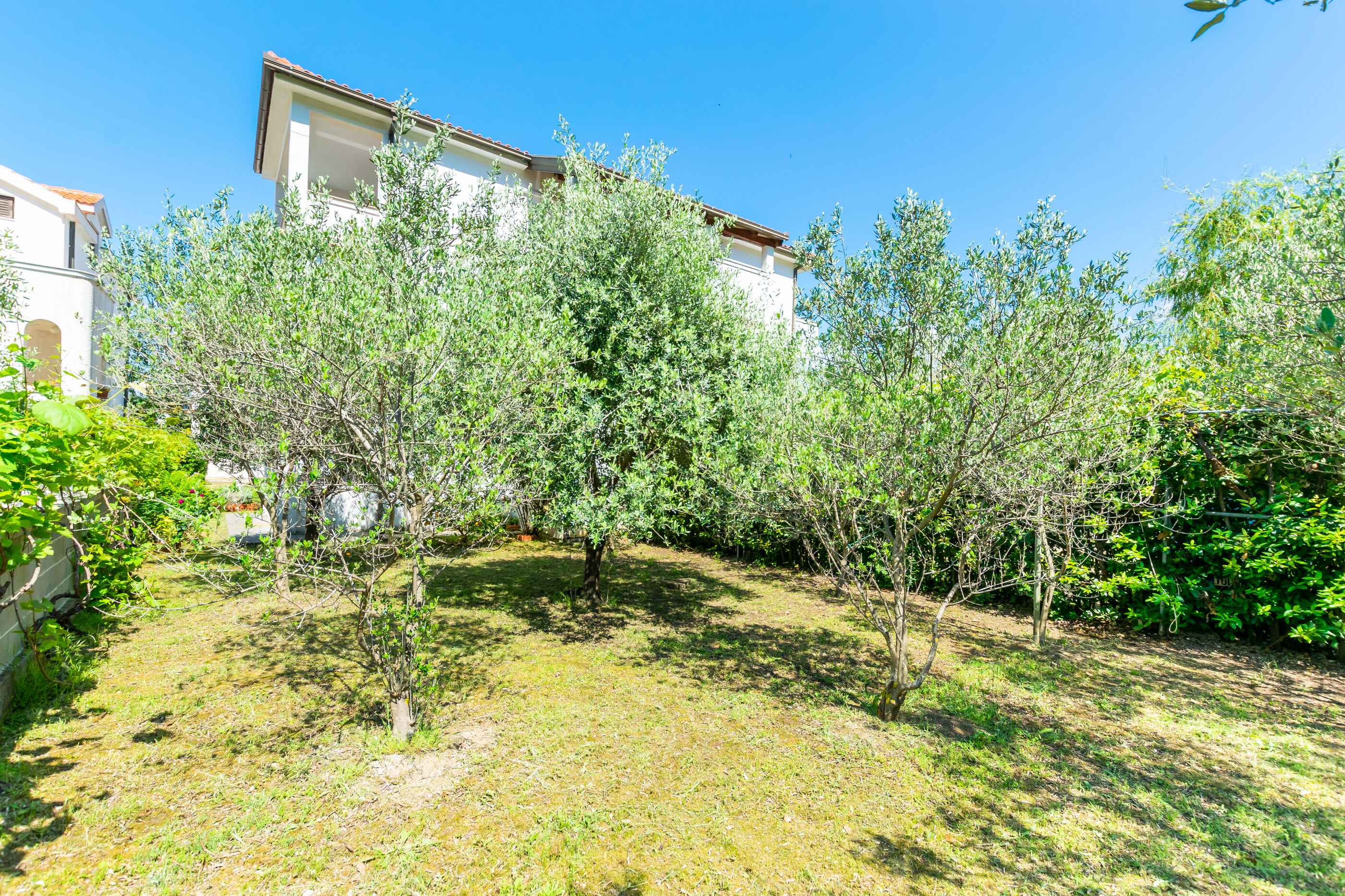 Apartments Iva 89921-A1