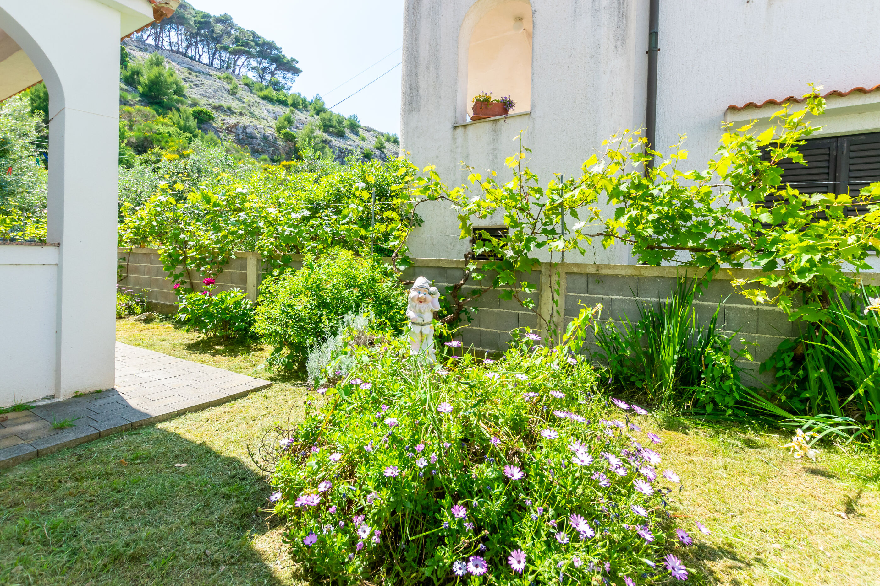 Photo of Apartments Iva