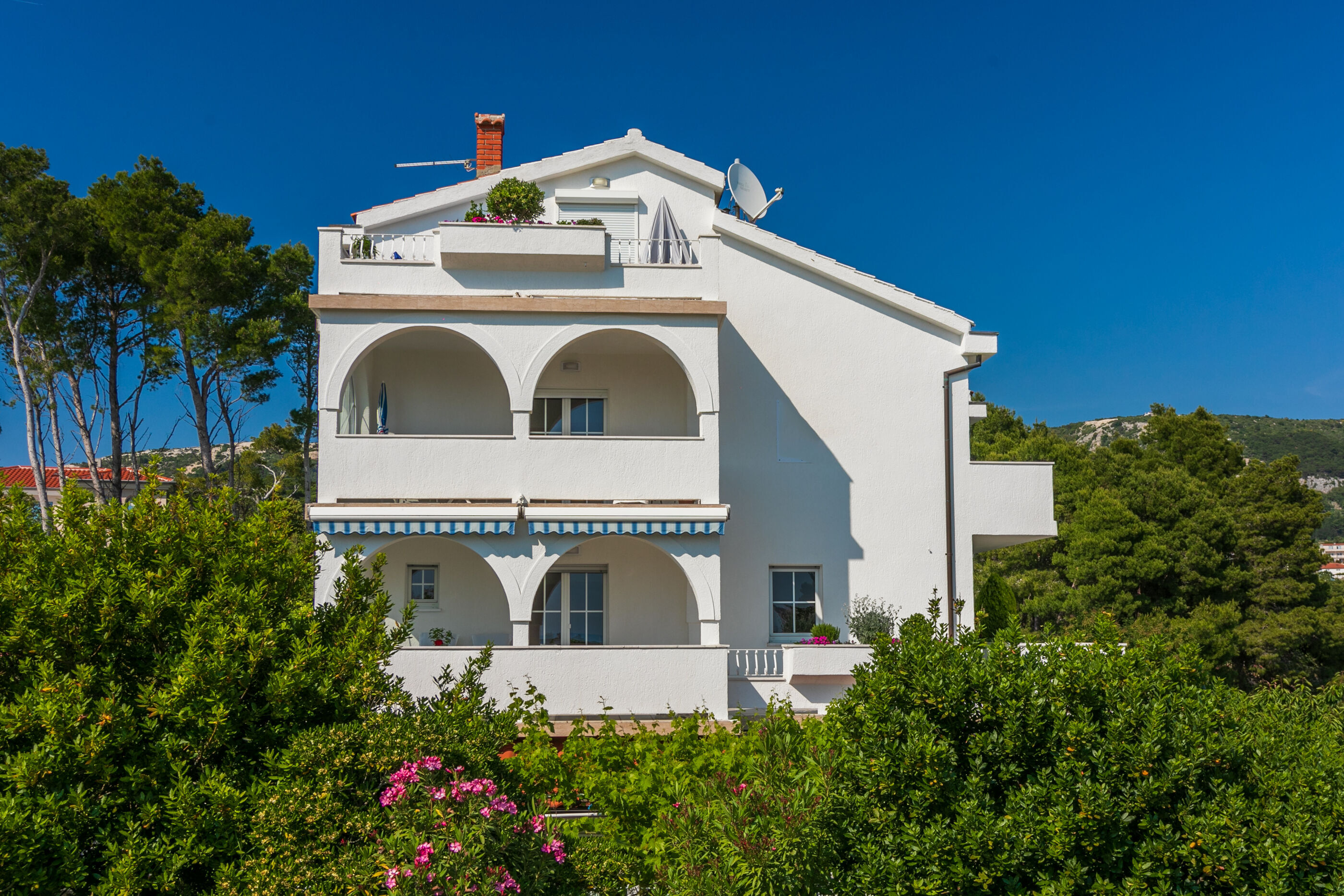 Apartments Vila Antula 66781-A1