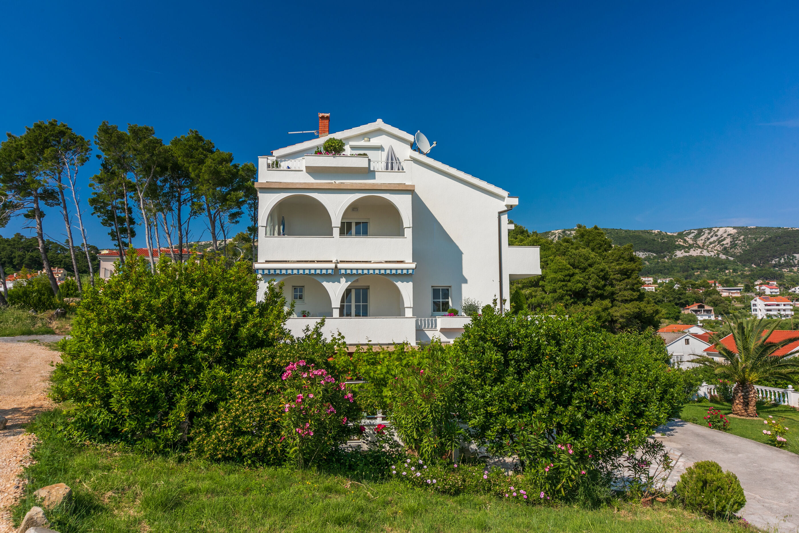 Apartments Vila Antula 66781-A1