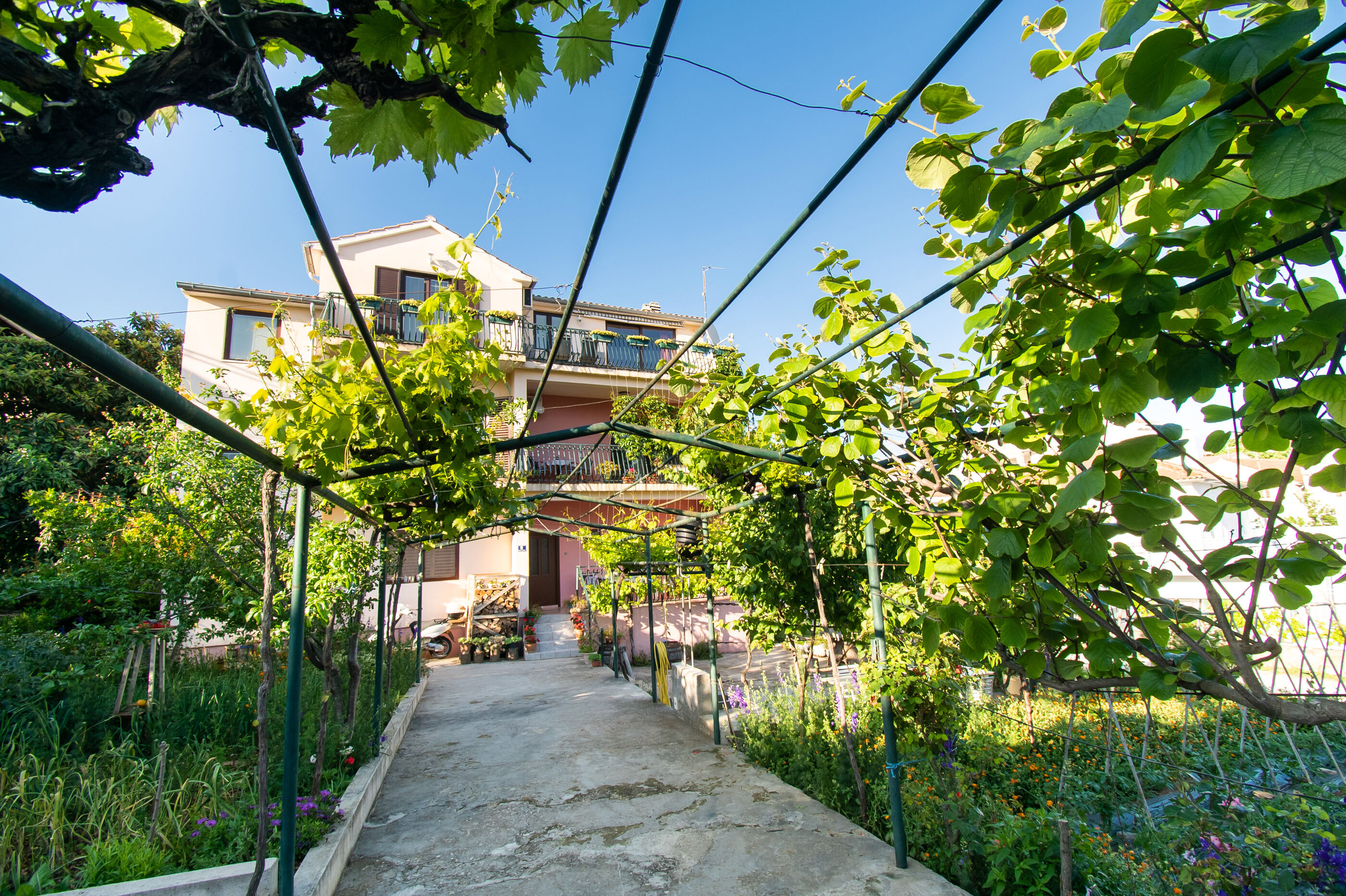 Apartments Green Garden 24101-A2