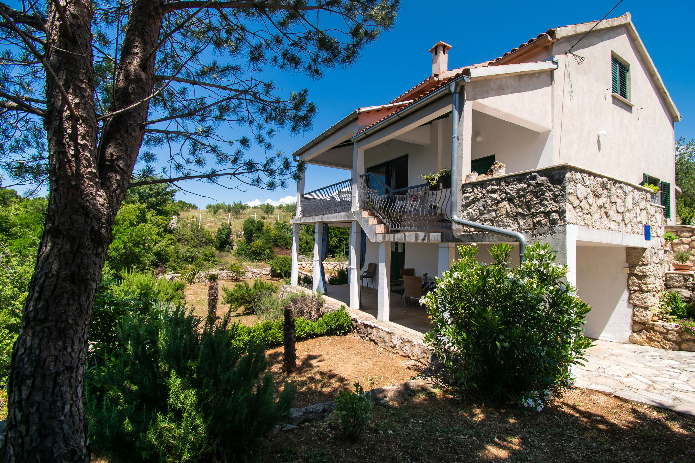 Apartment Lavanda 64291-A1