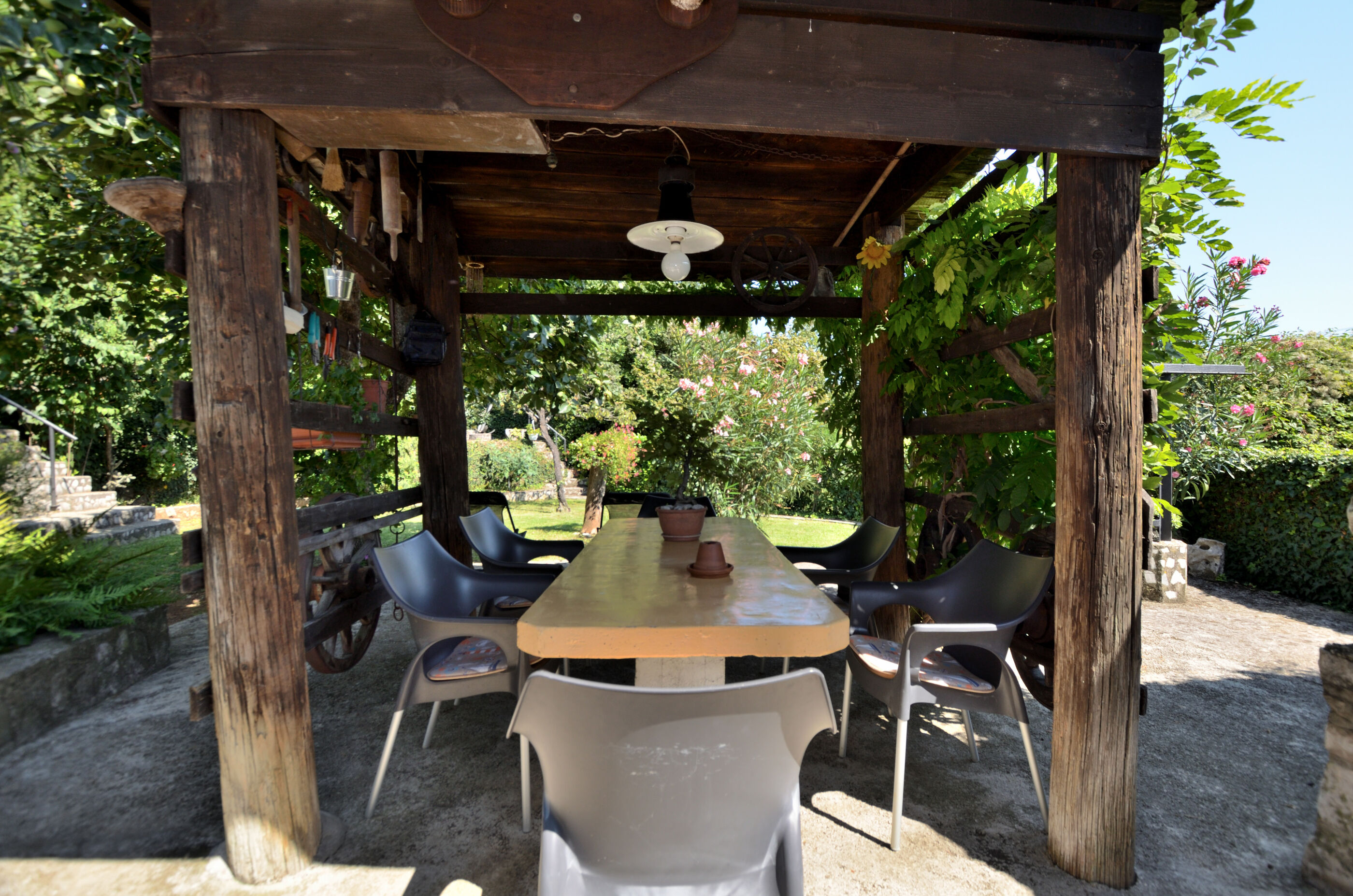 Photo of Apartments Haldej