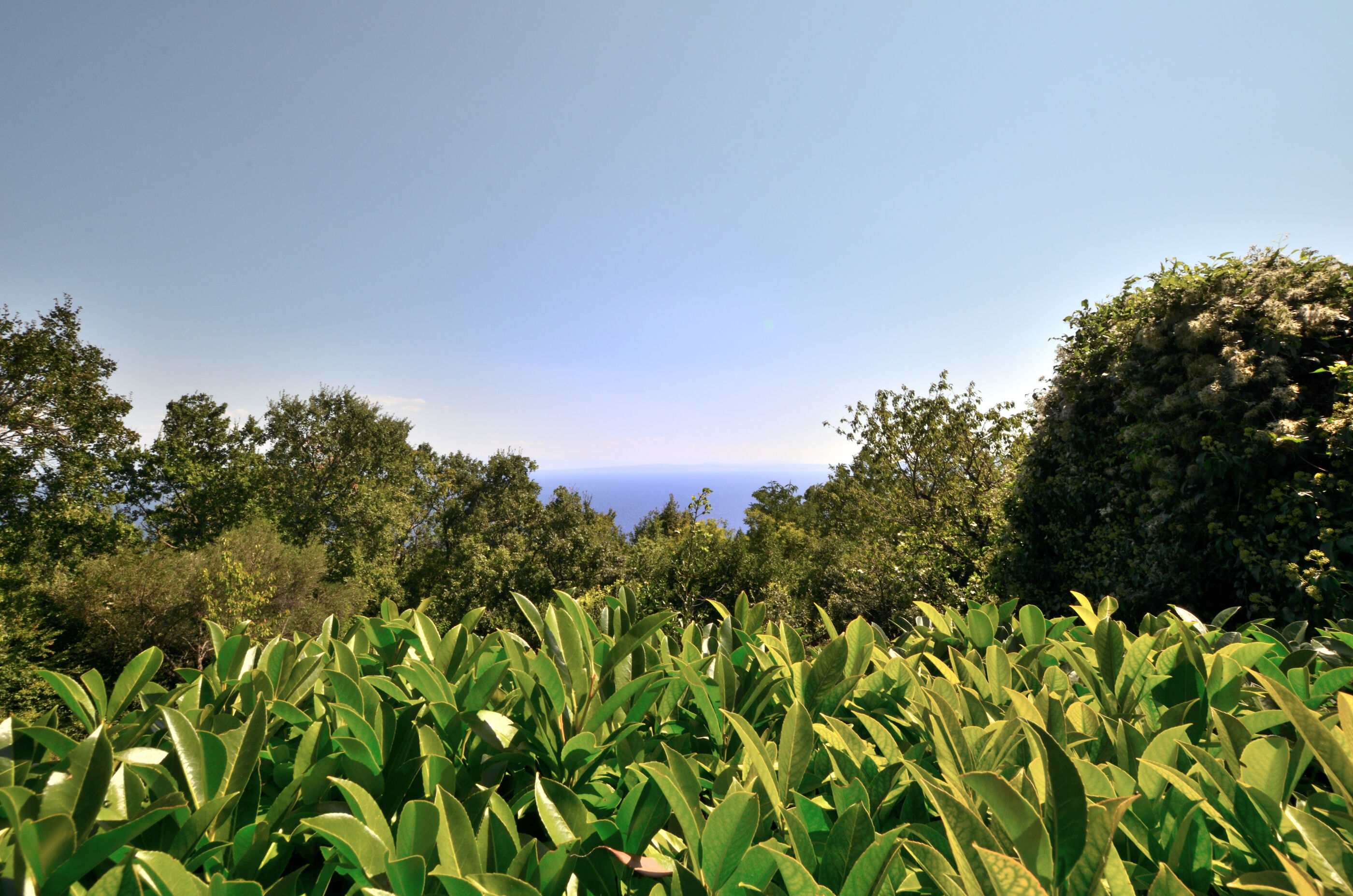 Photo of Apartments Haldej