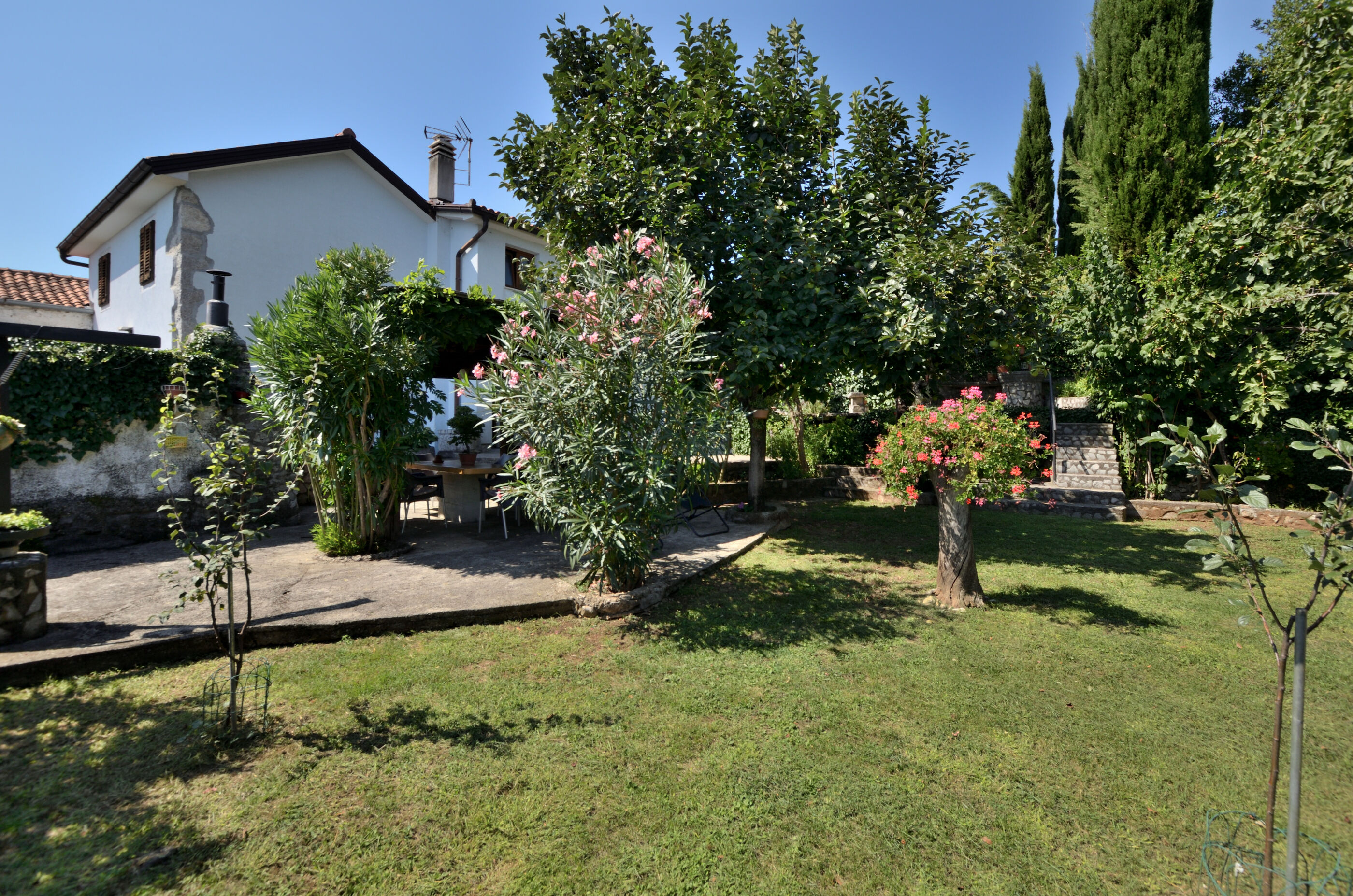 Photo of Apartments Haldej