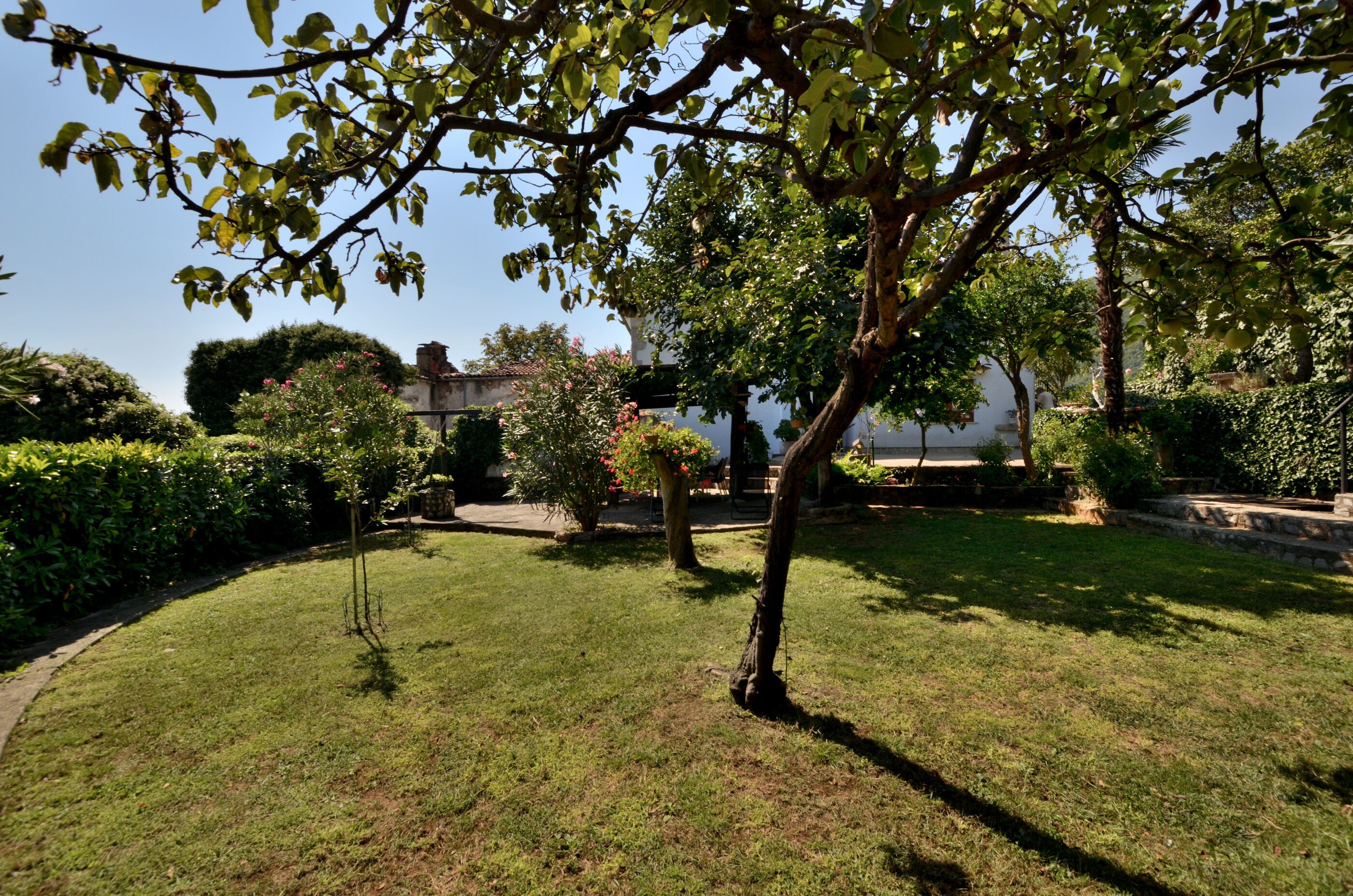 Photo of Apartments Haldej