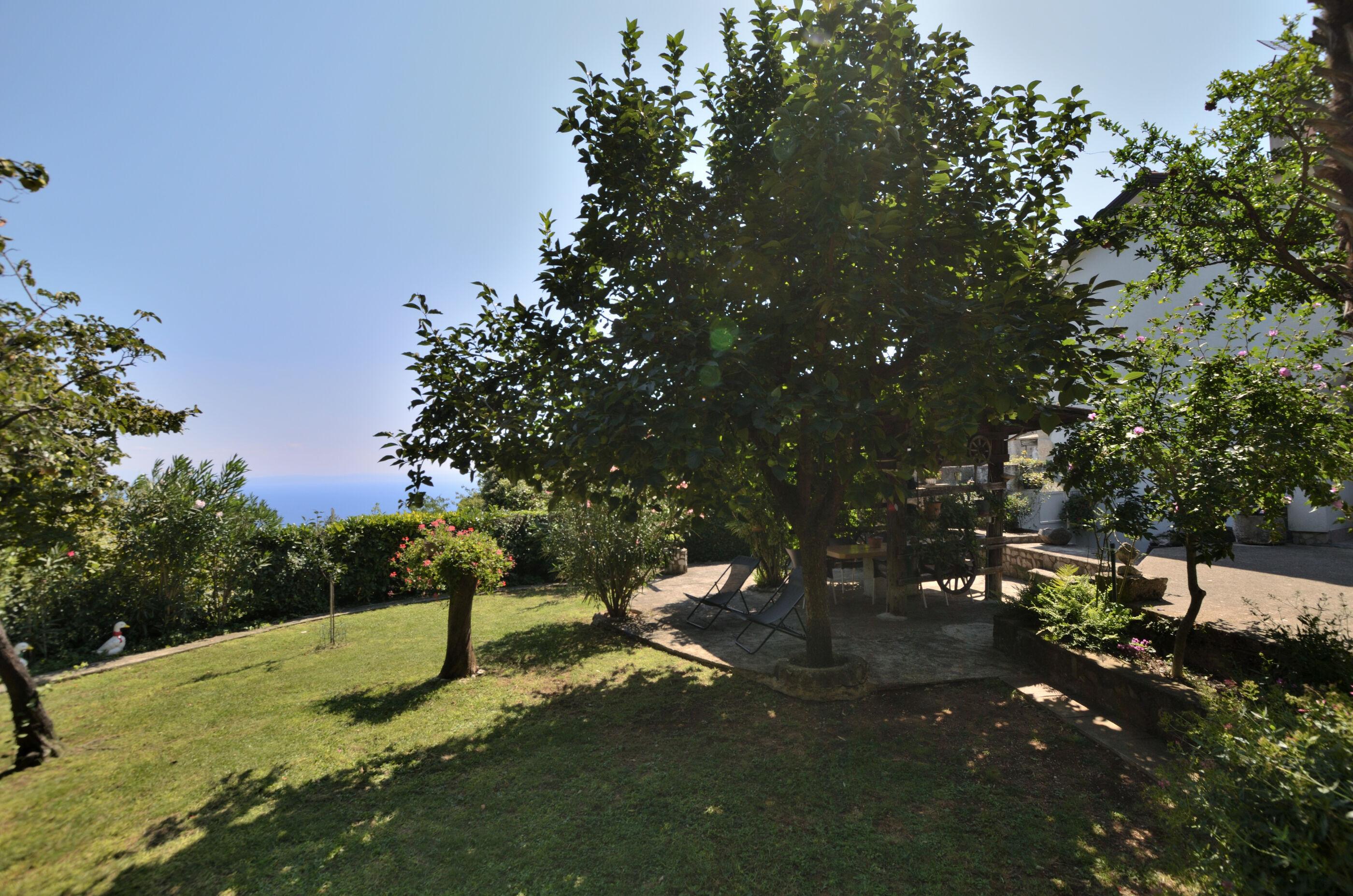 Photo of Apartments Haldej