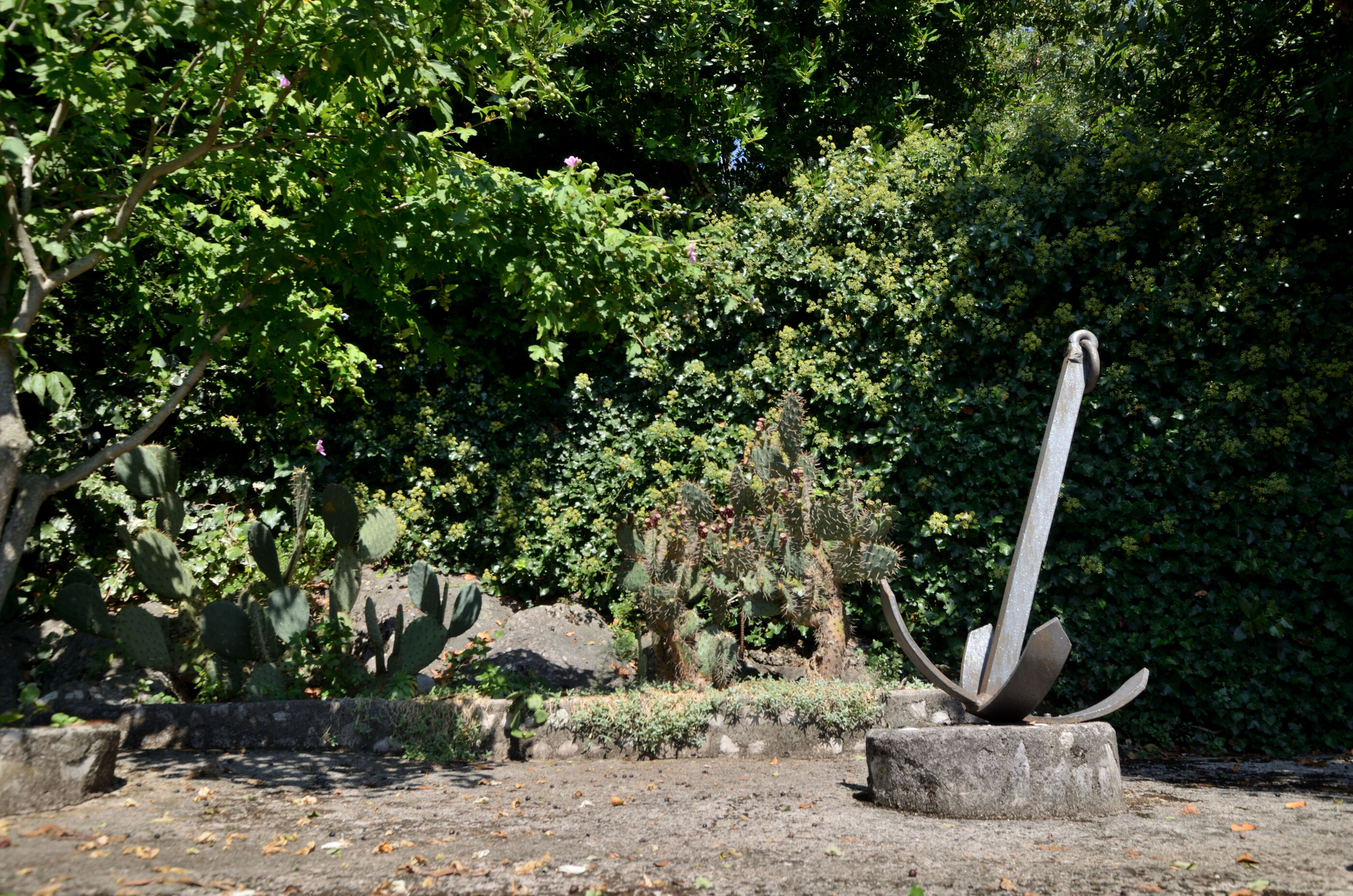 Photo of Apartments Haldej