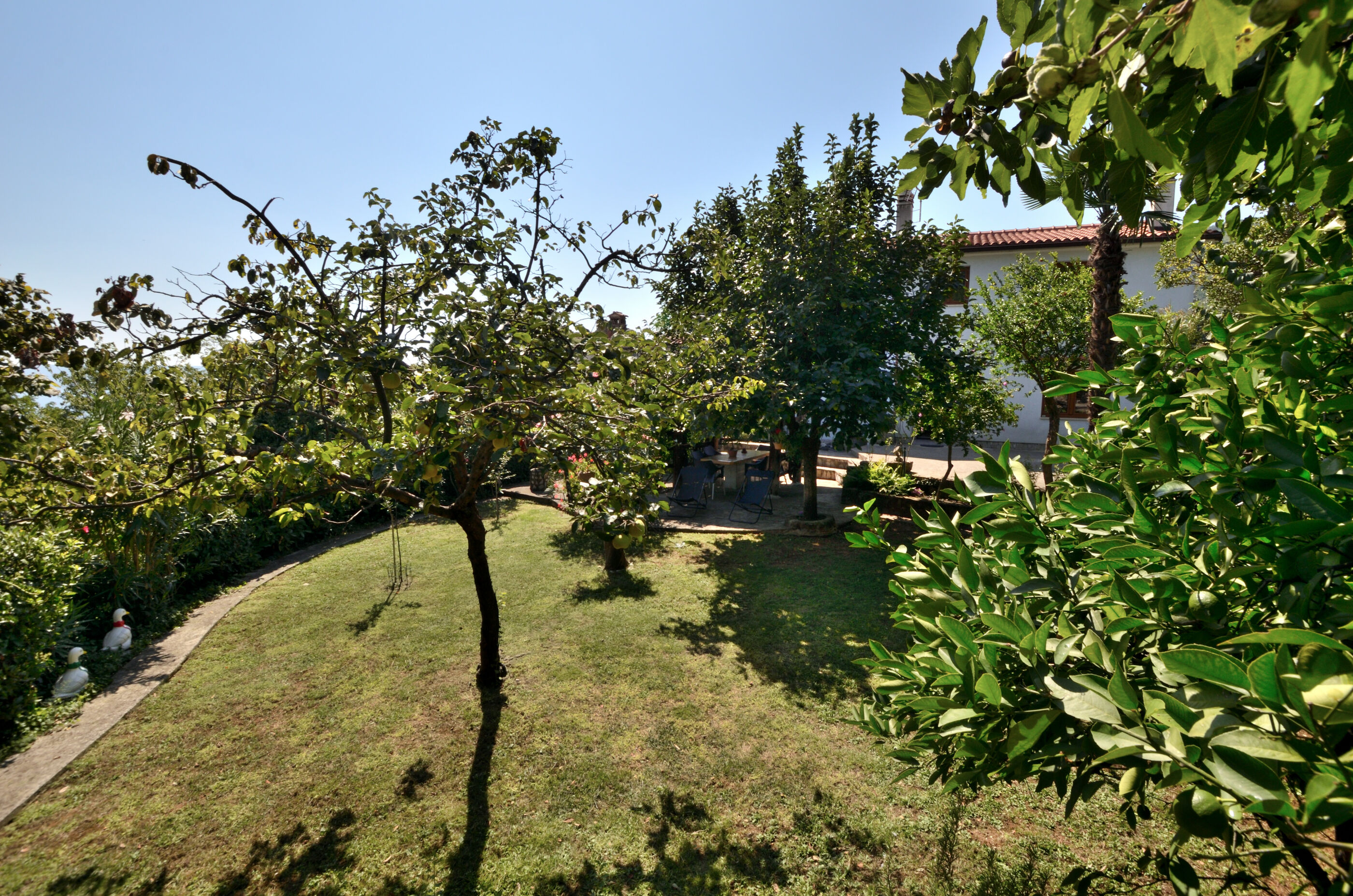 Photo of Apartments Haldej