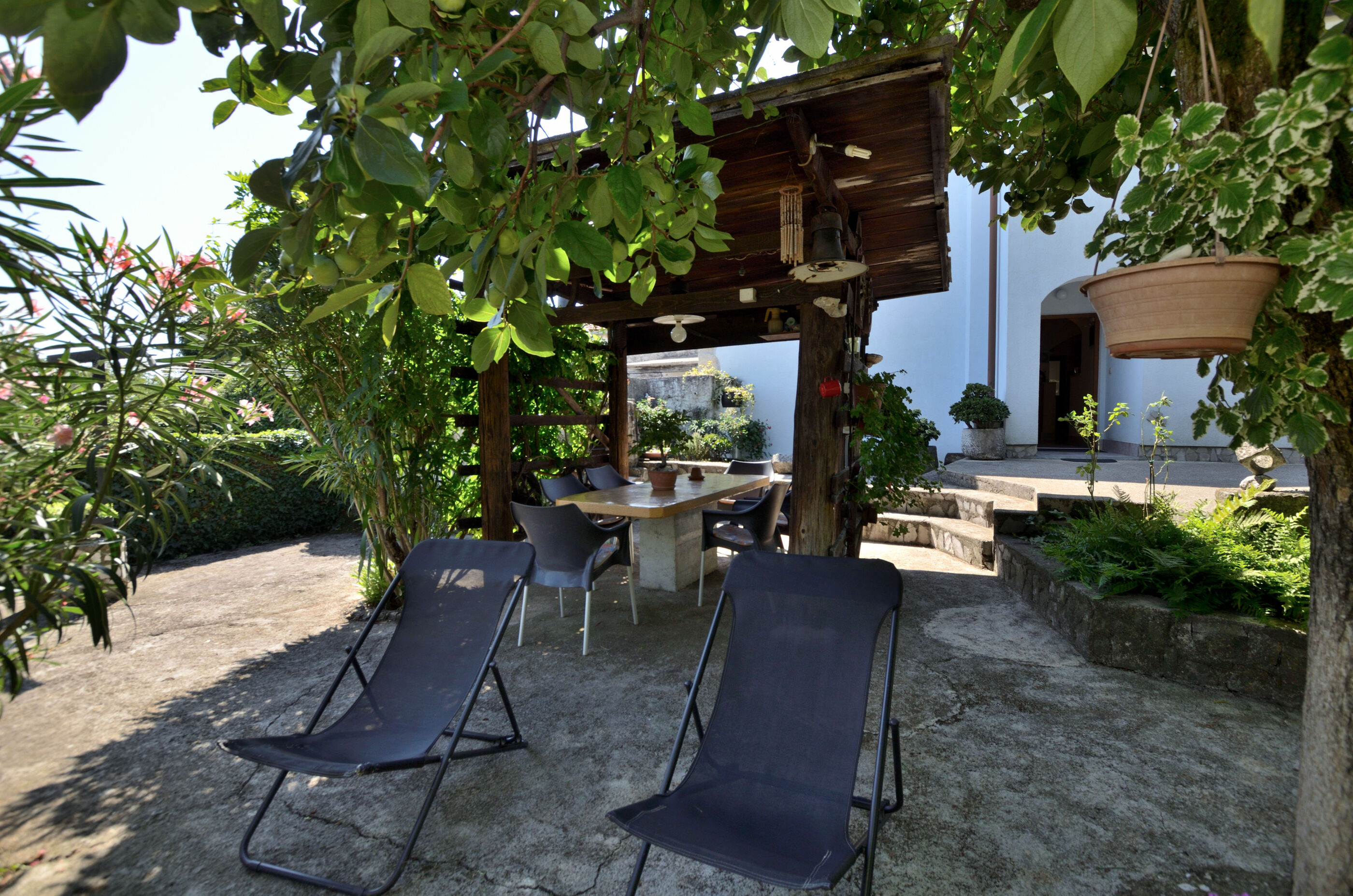 Photo of Apartments Haldej