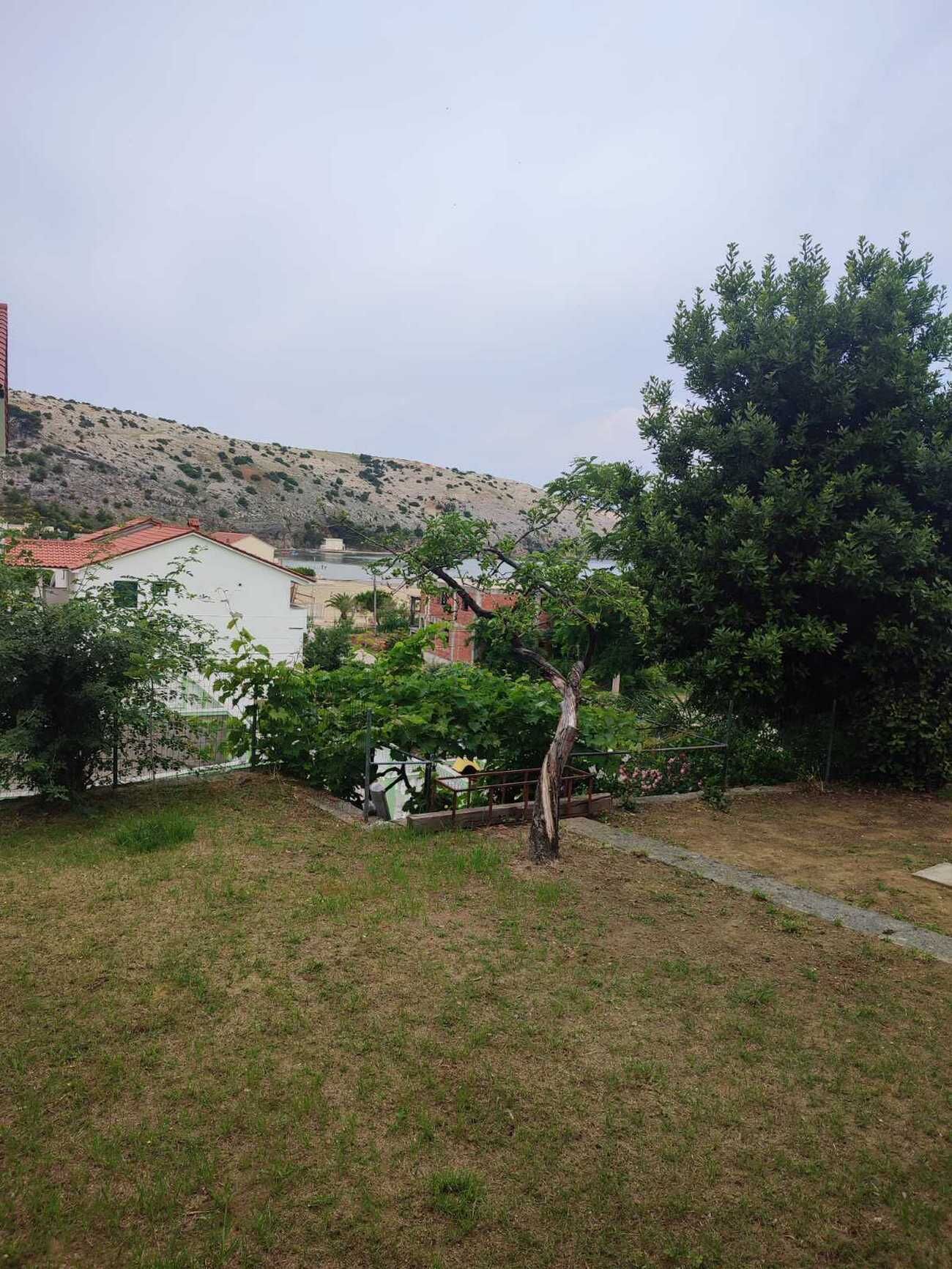 Apartment Ankica Valeria 97261-A1